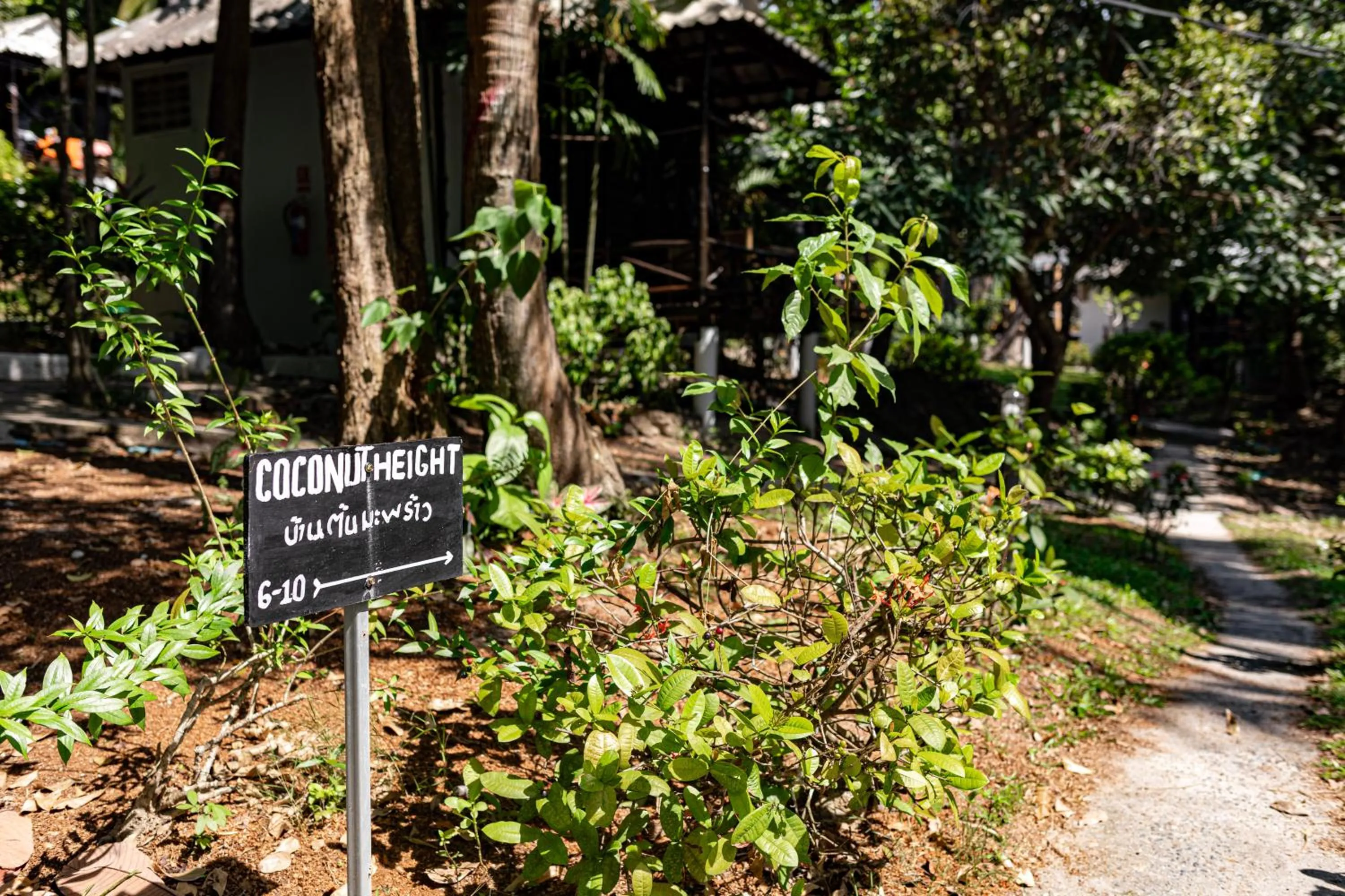 Day in Shiralea Resort