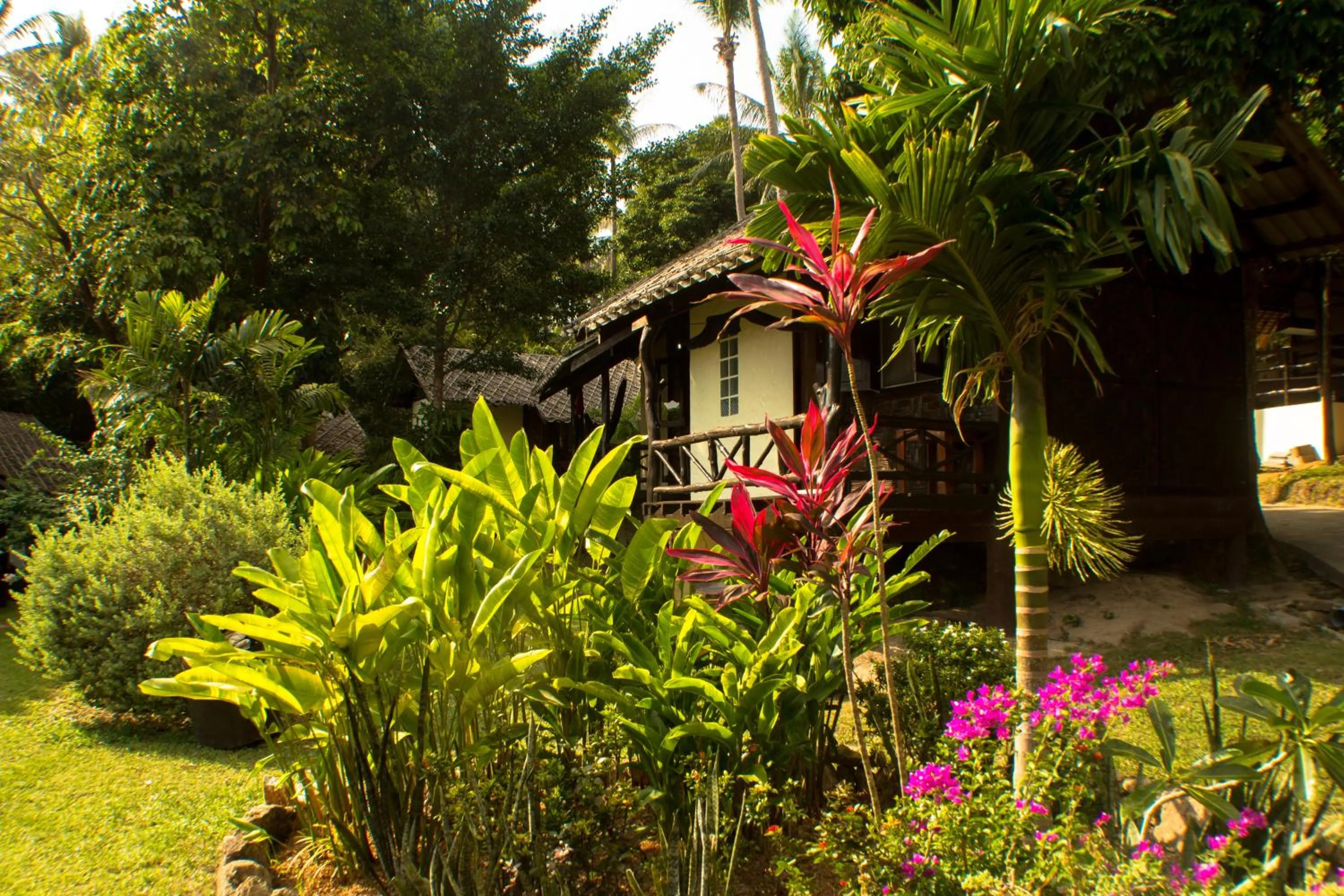 Garden view in Shiralea Backpackers Resort