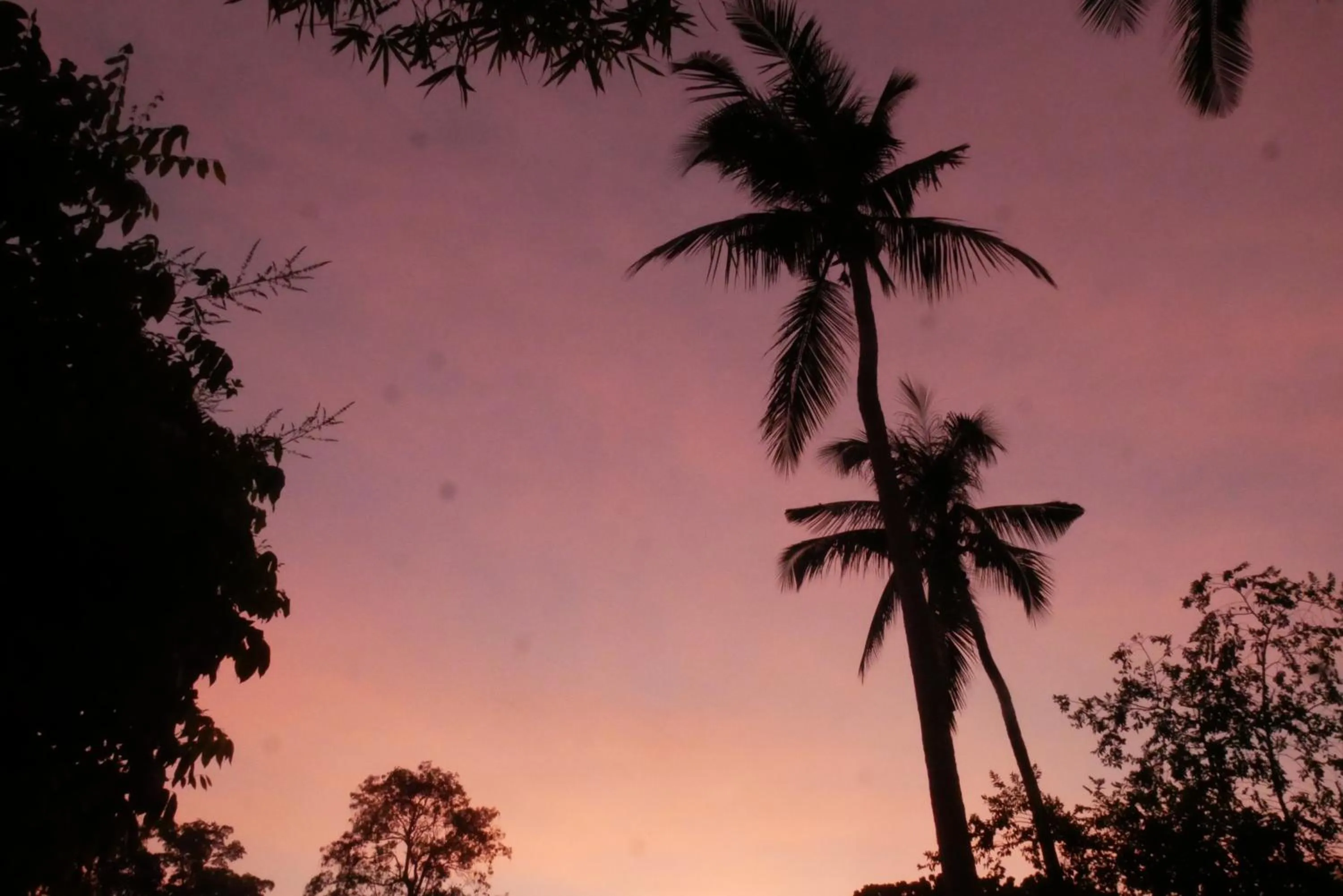 Natural landscape in Shiralea Resort