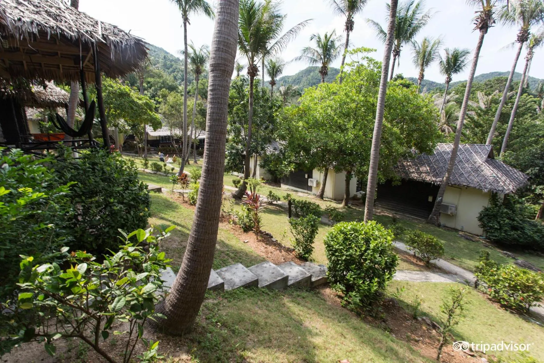 Garden in Shiralea Backpackers Resort