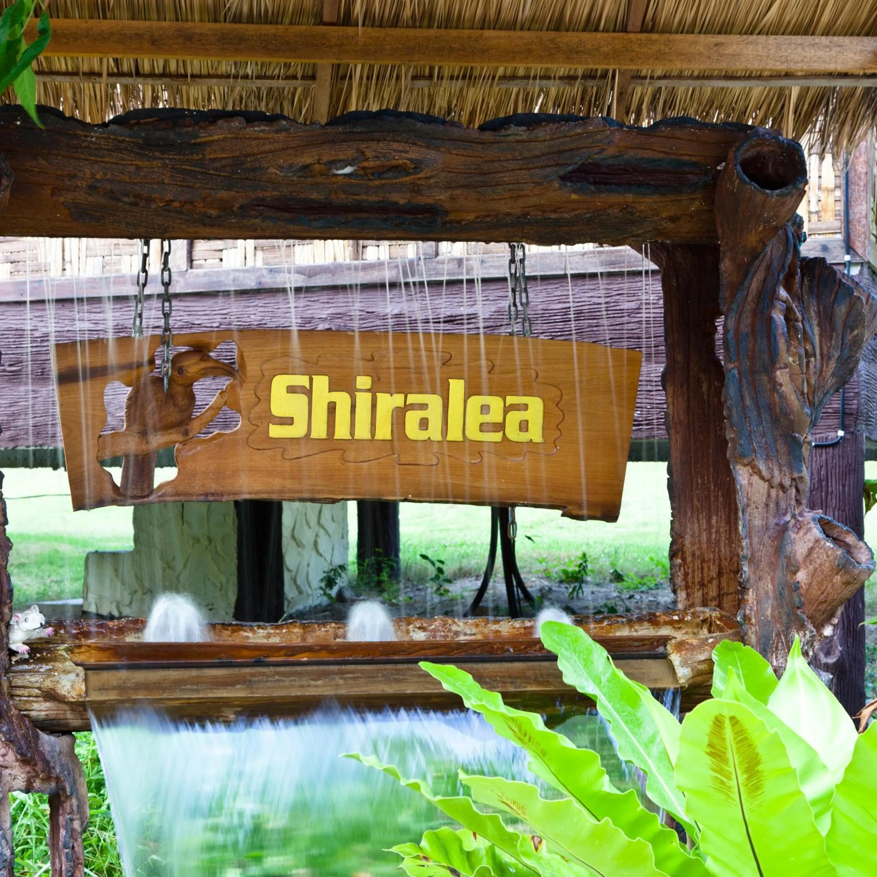 Property logo or sign in Shiralea Backpackers Resort