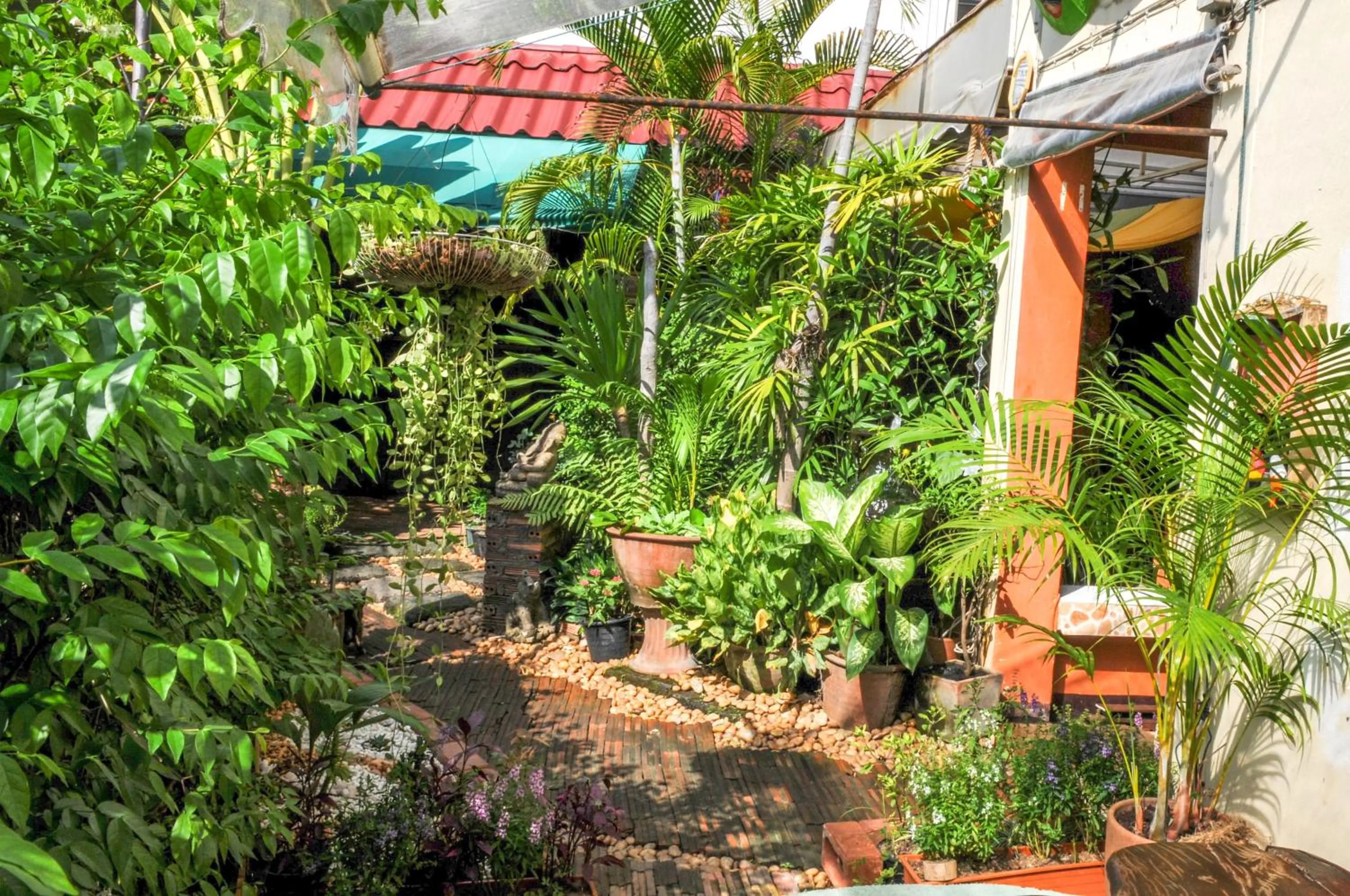 Garden in All in 1 Guesthouse