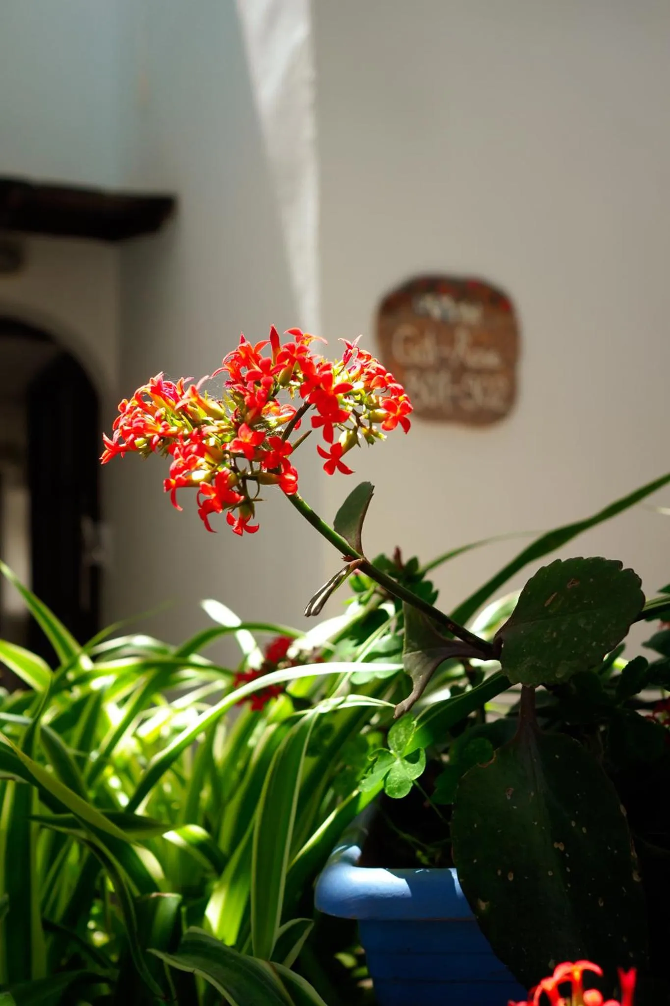 Property building in Oya Butik Otel