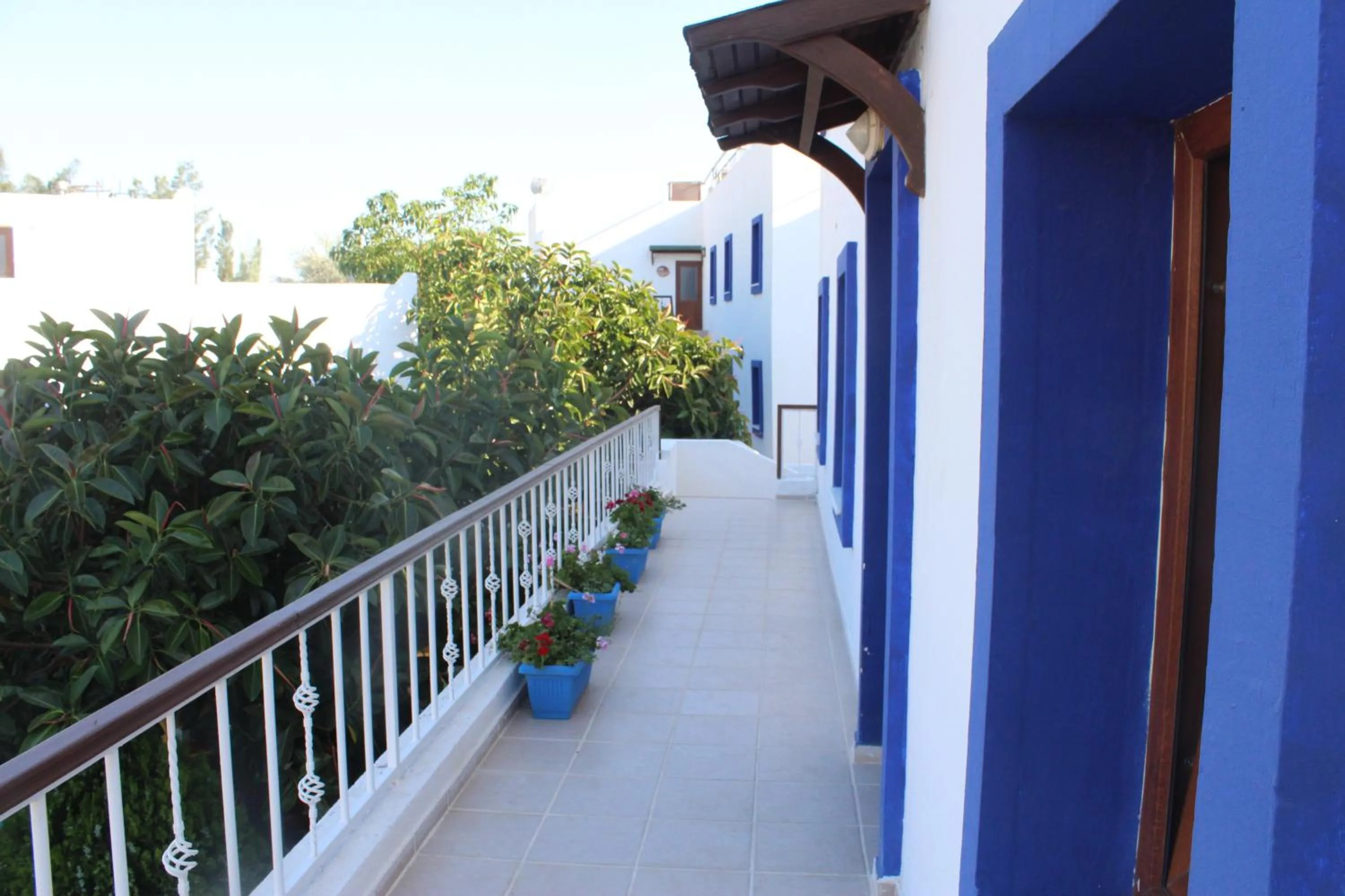 Balcony/Terrace in Oya Butik Otel