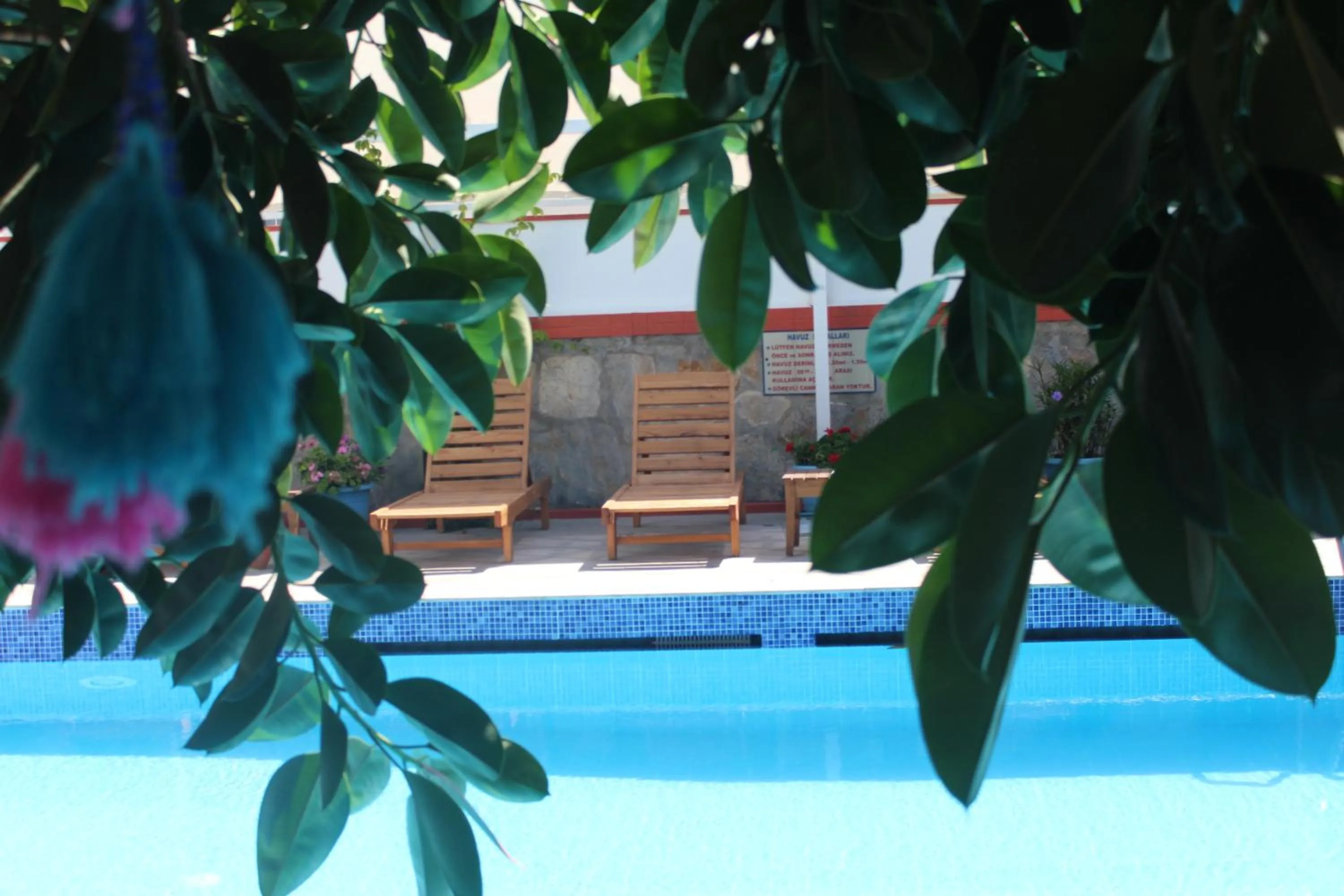 Garden in Oya Butik Otel