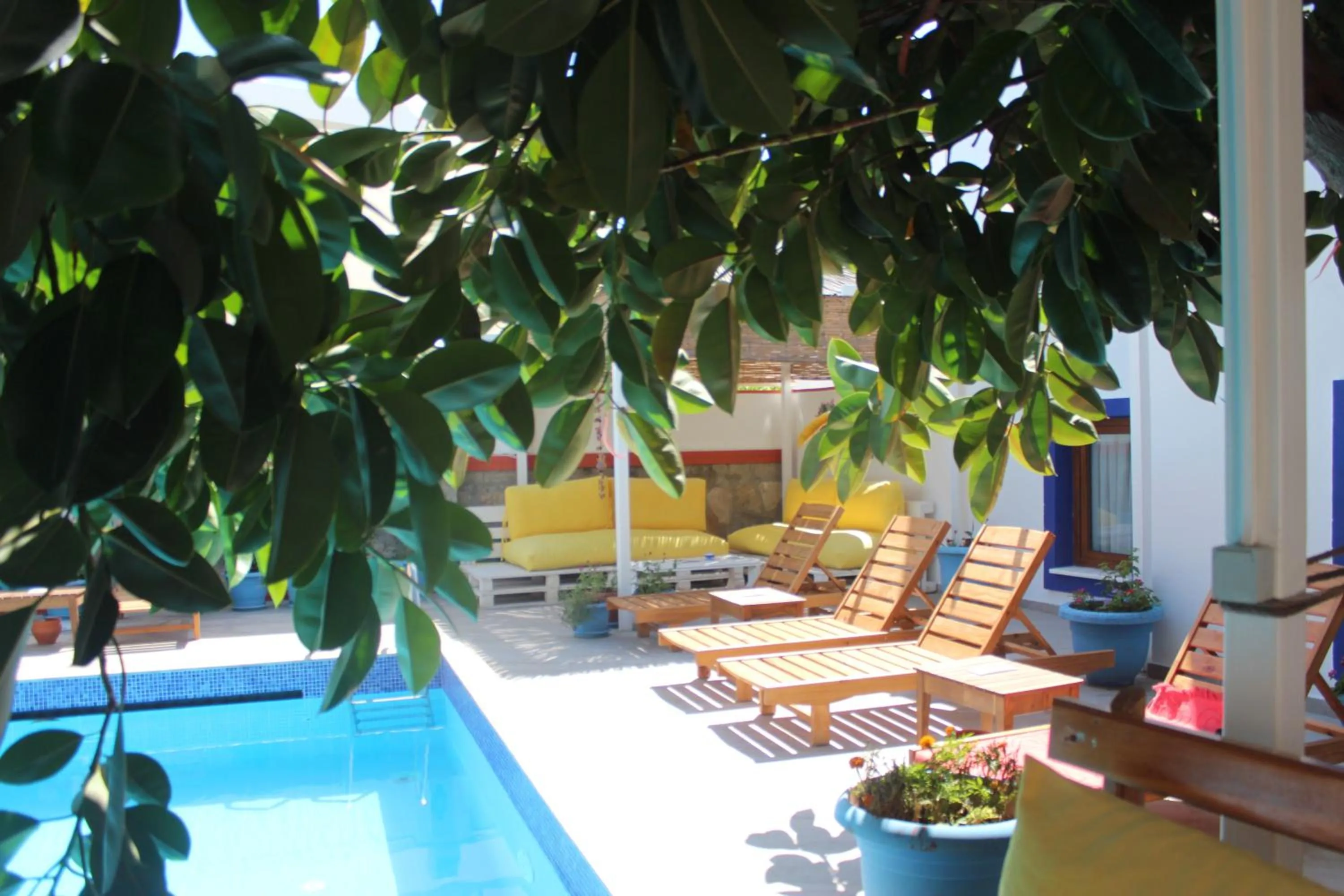 Garden in Oya Butik Otel