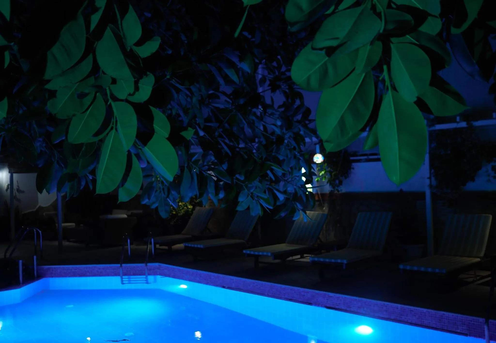 Swimming pool in Oya Butik Otel