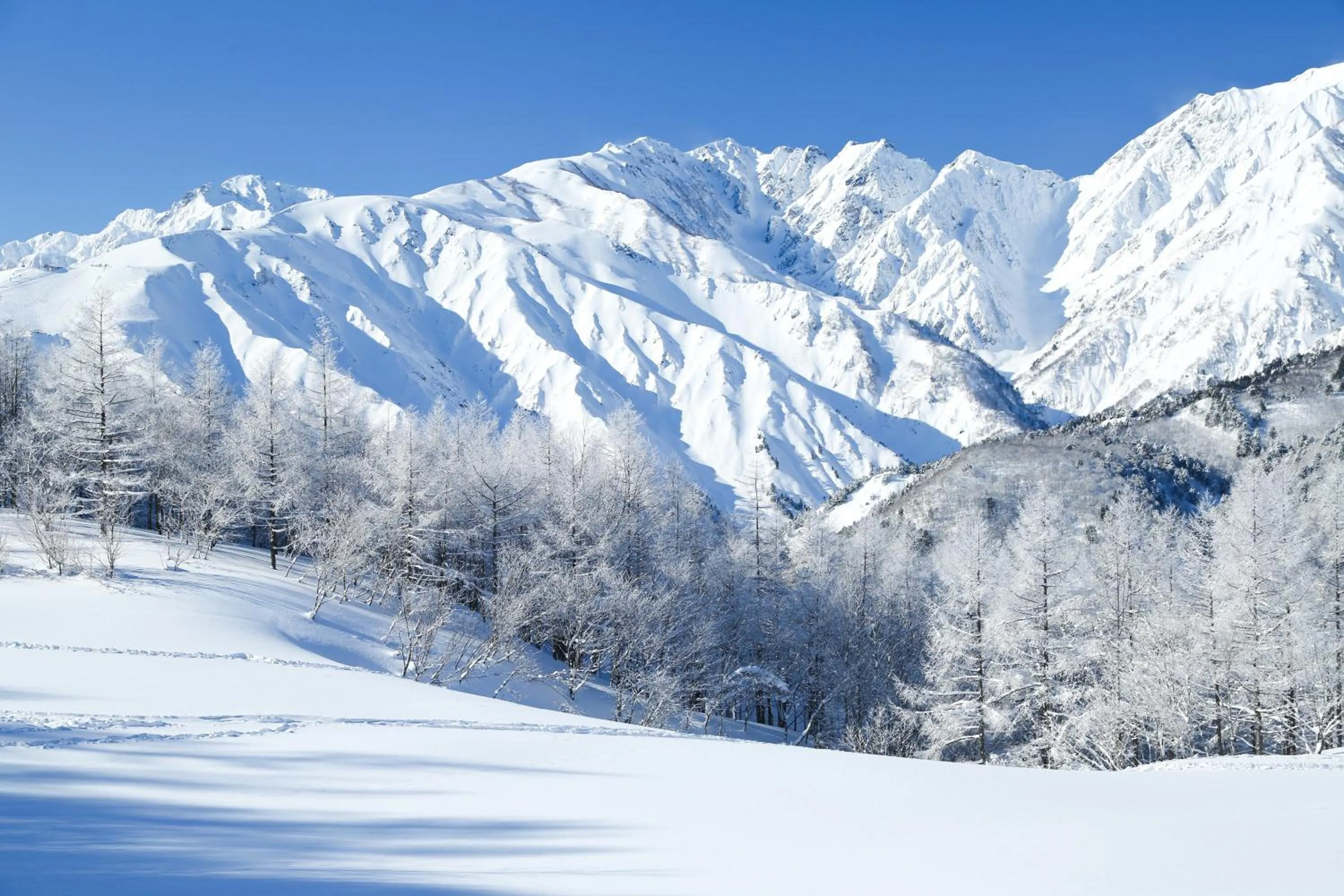 Off site in Hakuba Hatago Maruhachi