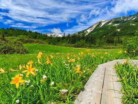 Hakuba Hatago Maruhachi