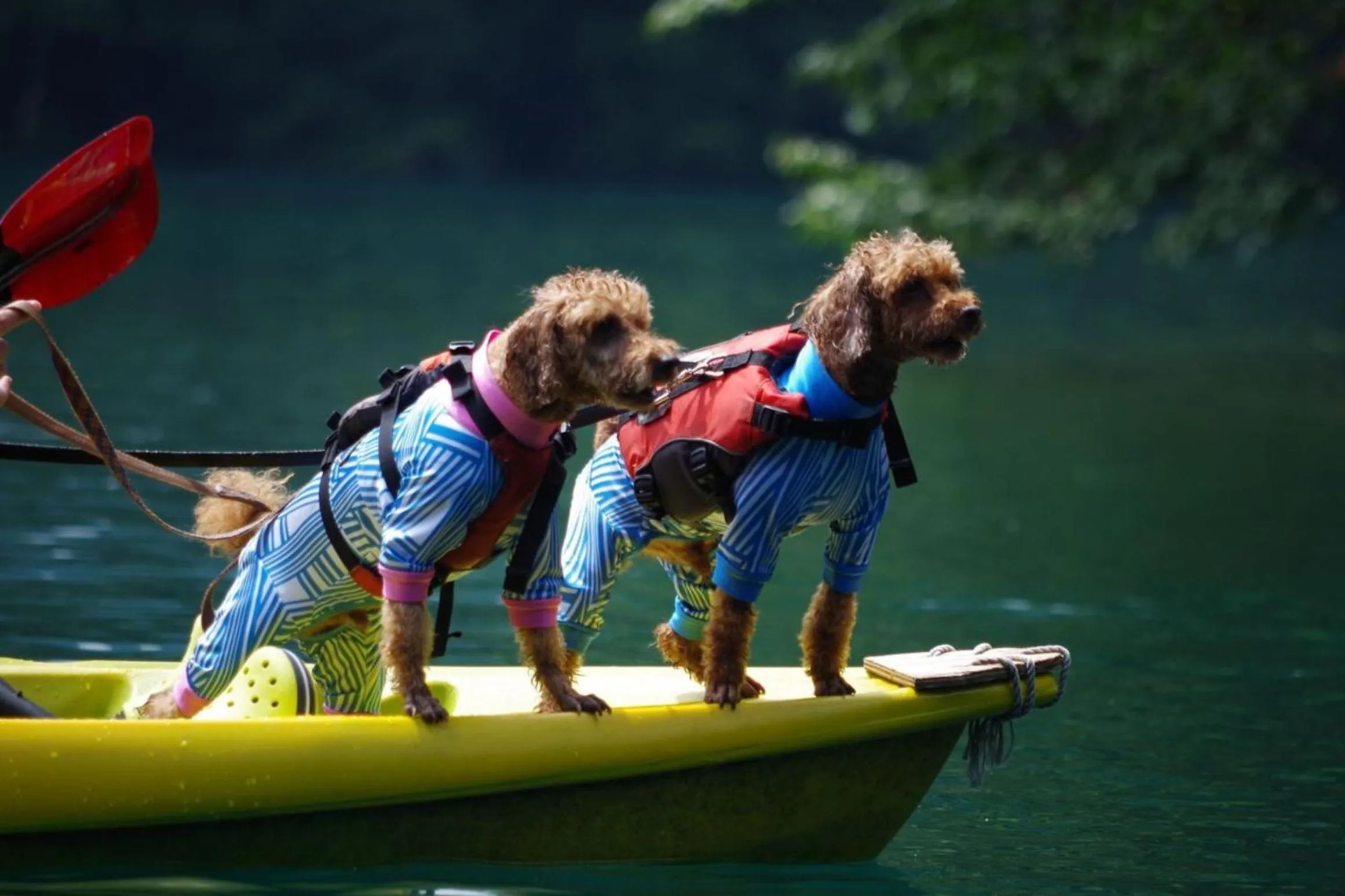Hakuba Hatago Maruhachi