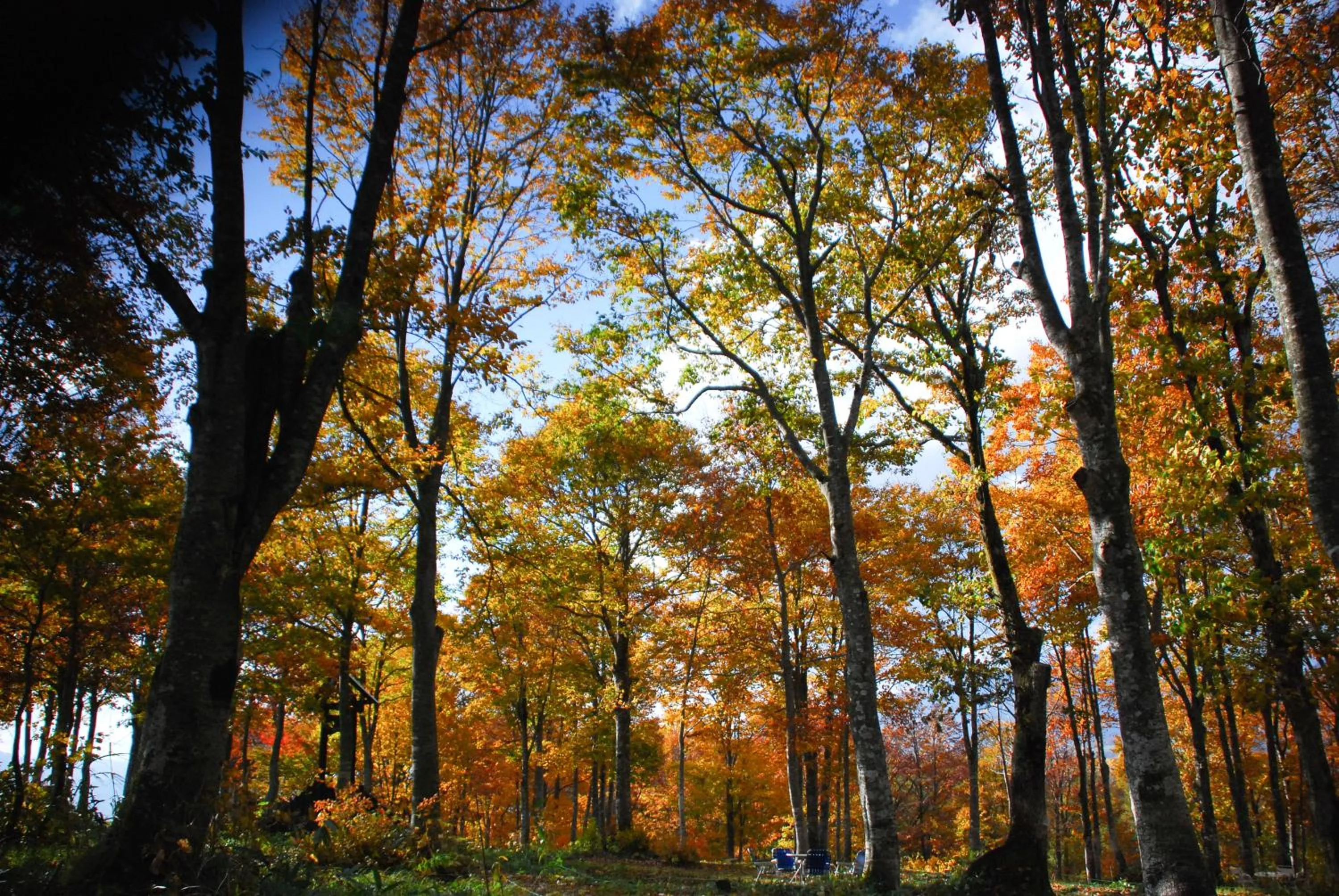 Off site in Hakuba Hatago Maruhachi