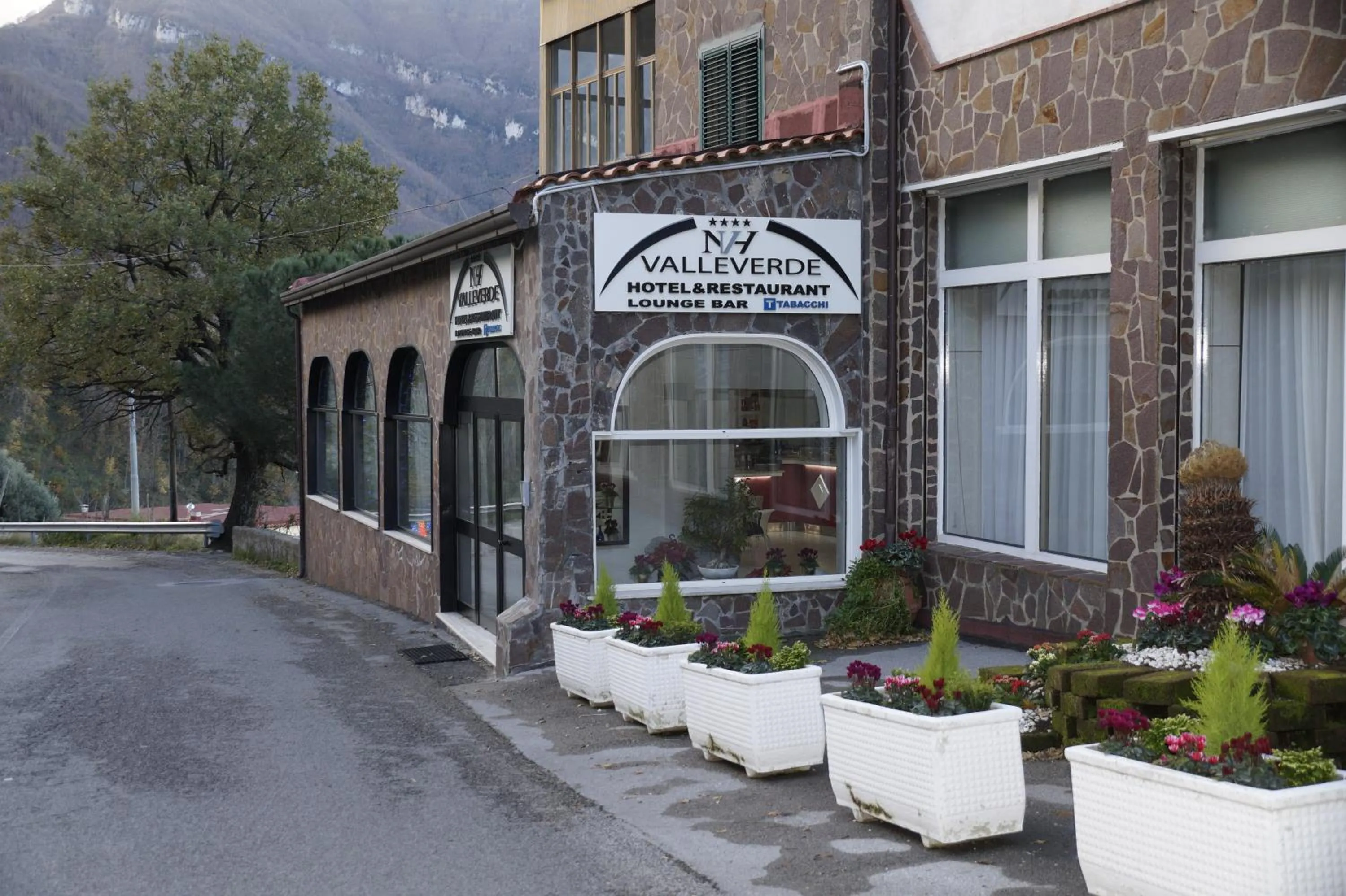 Property logo or sign in HOTEL VALLEVERDE