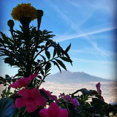 Natural landscape in HOTEL VALLEVERDE