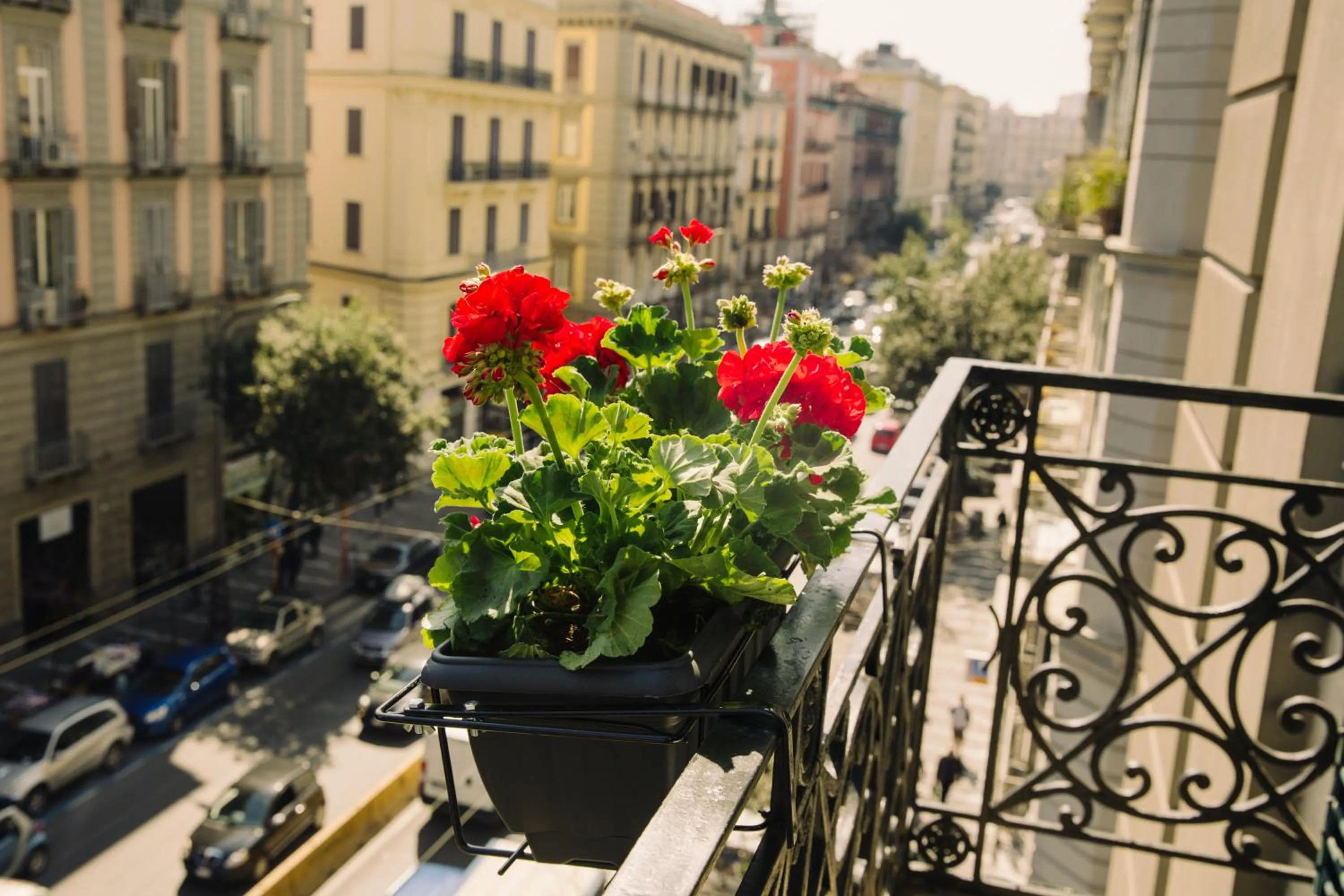 City view in The Grey