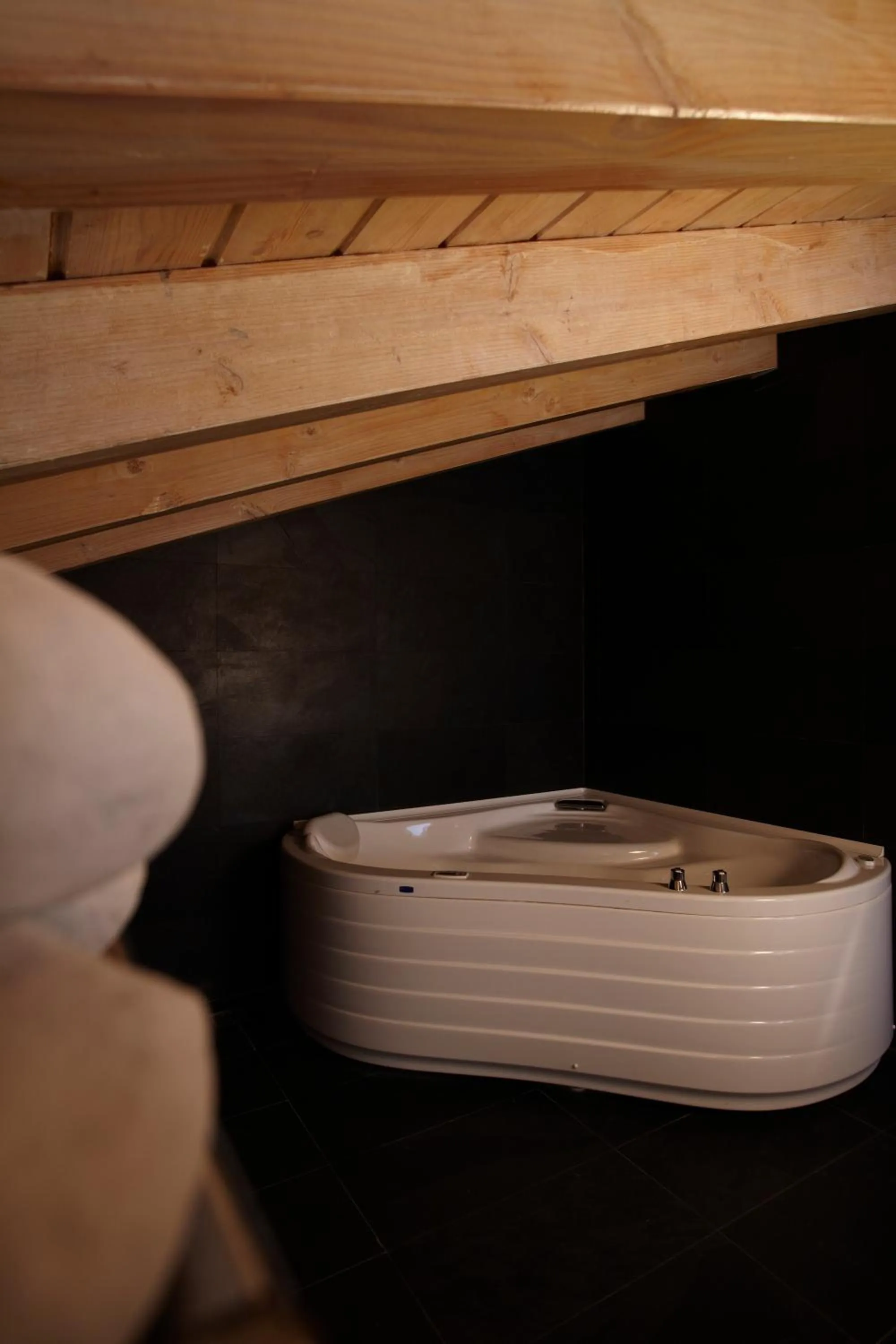 Bathroom in Hotel Nagusi