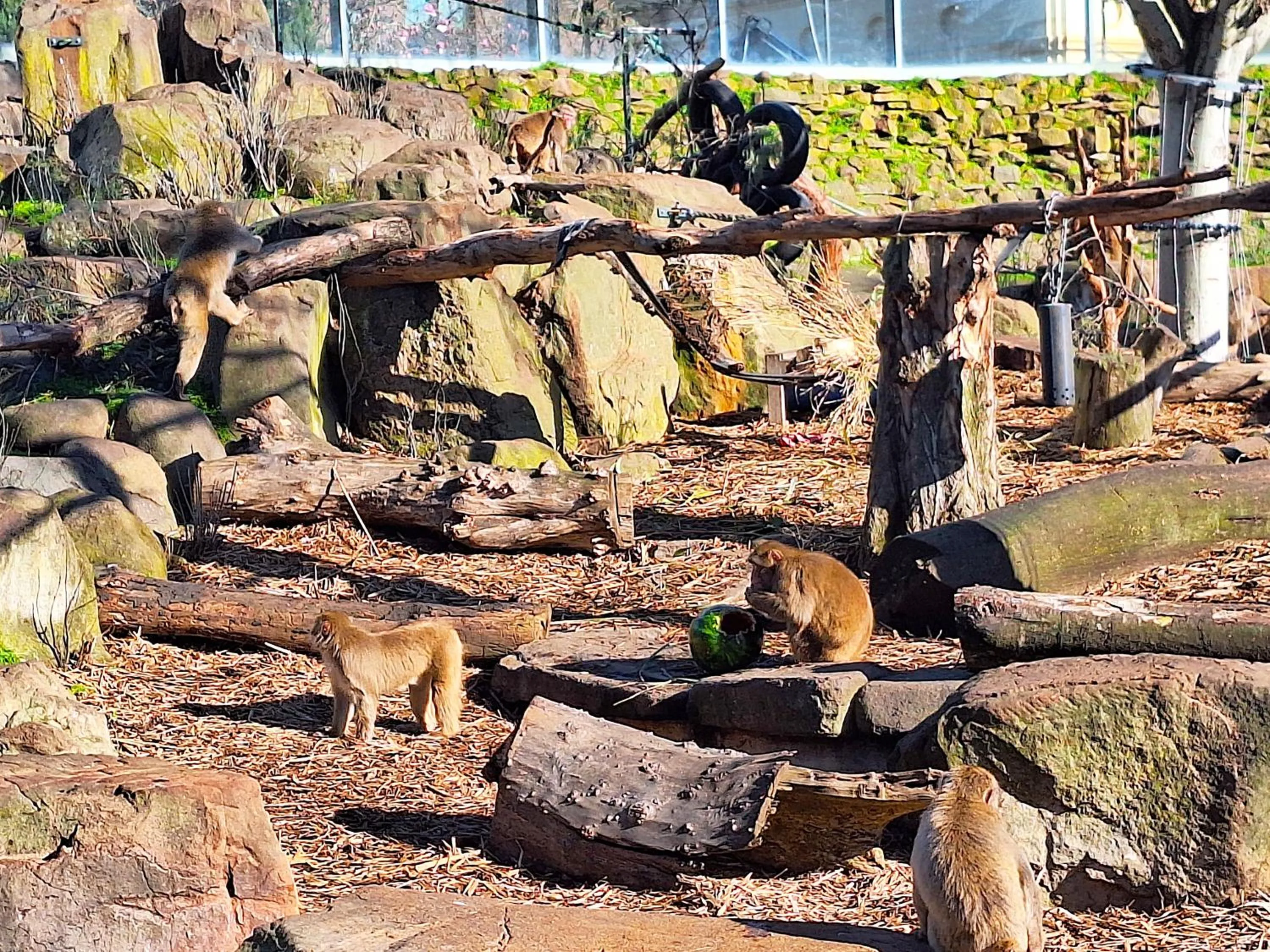 Natural landscape in Commodore Regent Launceston