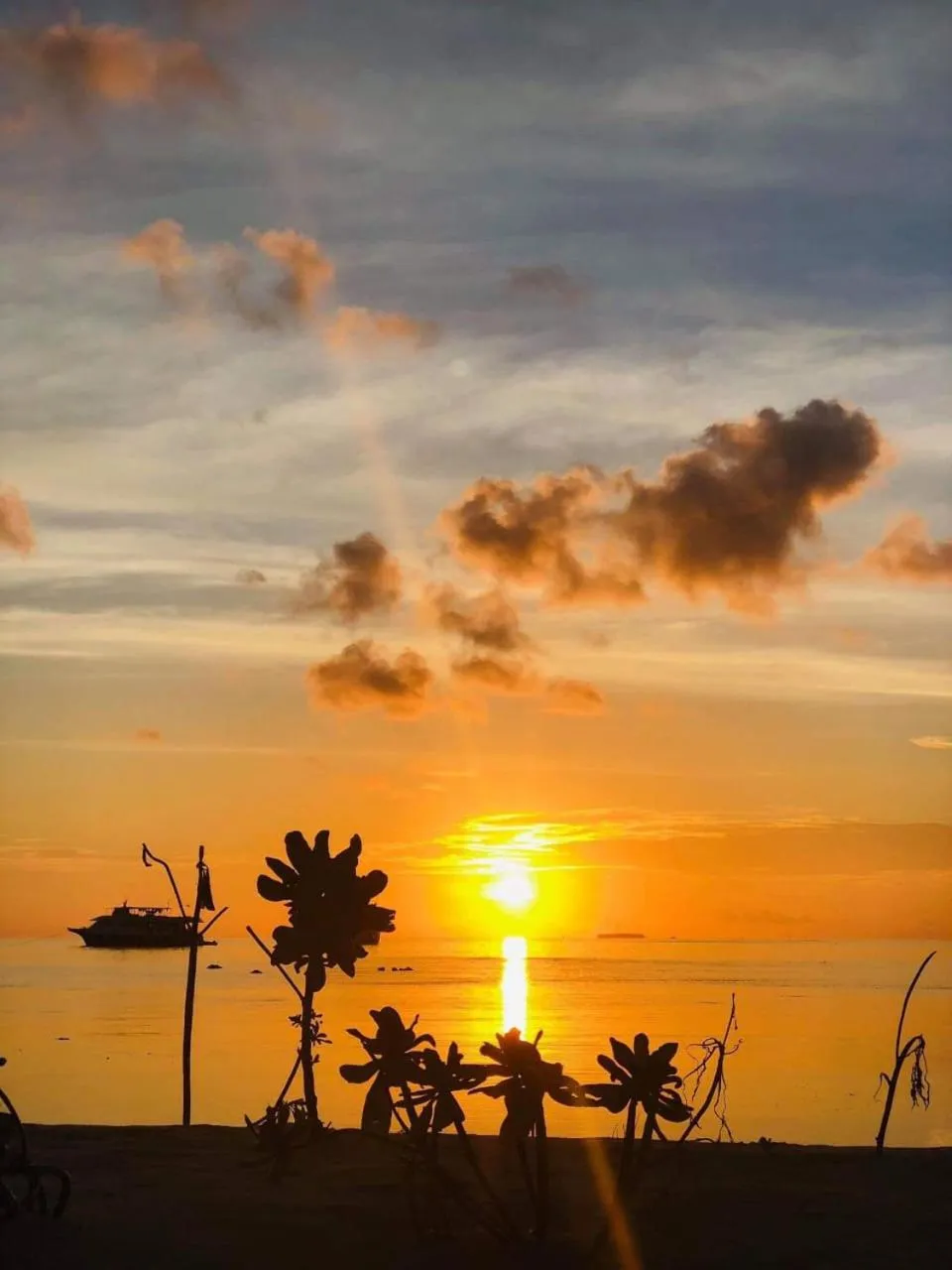 Beach in IRIS Beach Residence