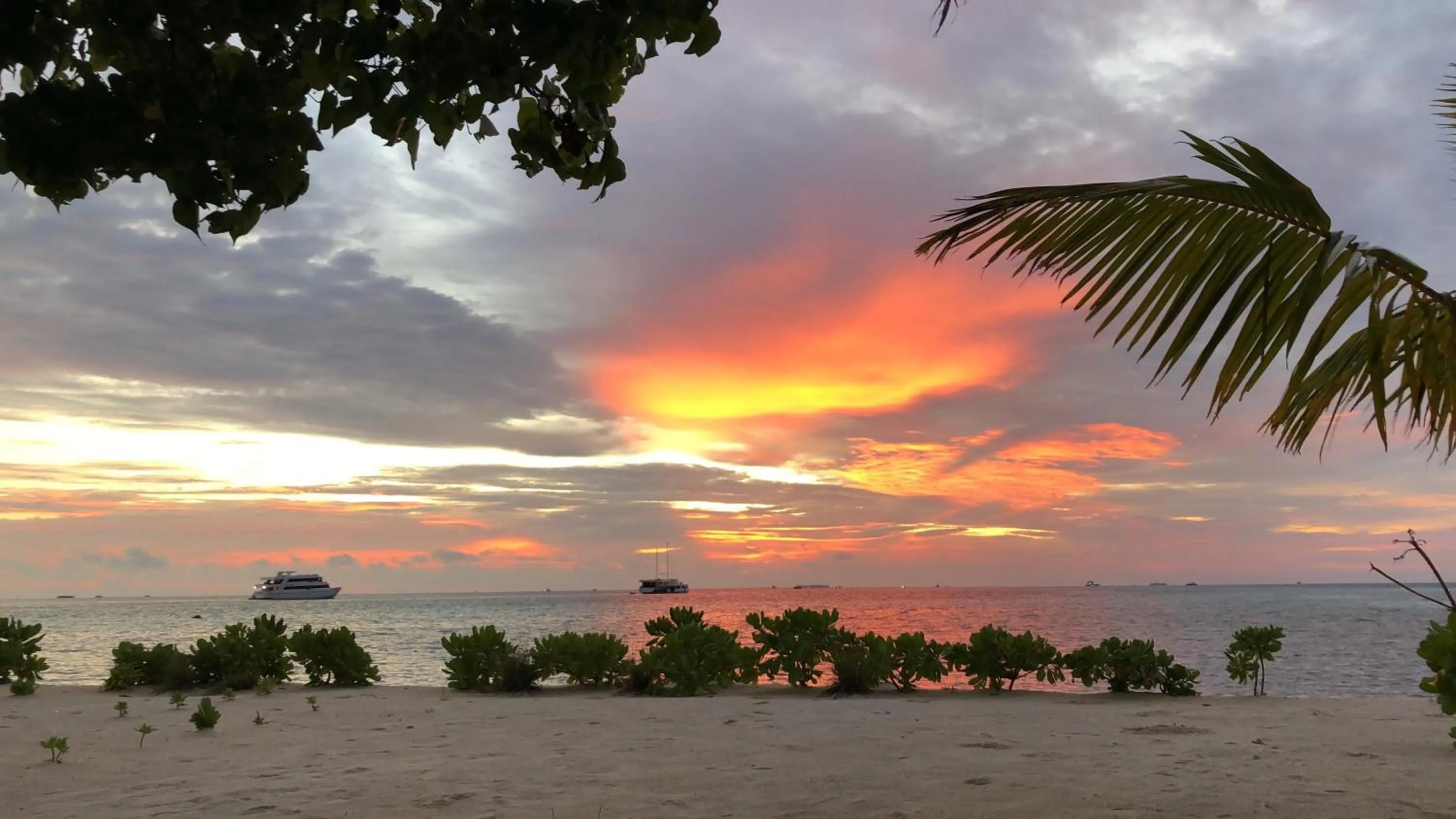 Natural landscape in IRIS Beach Residence