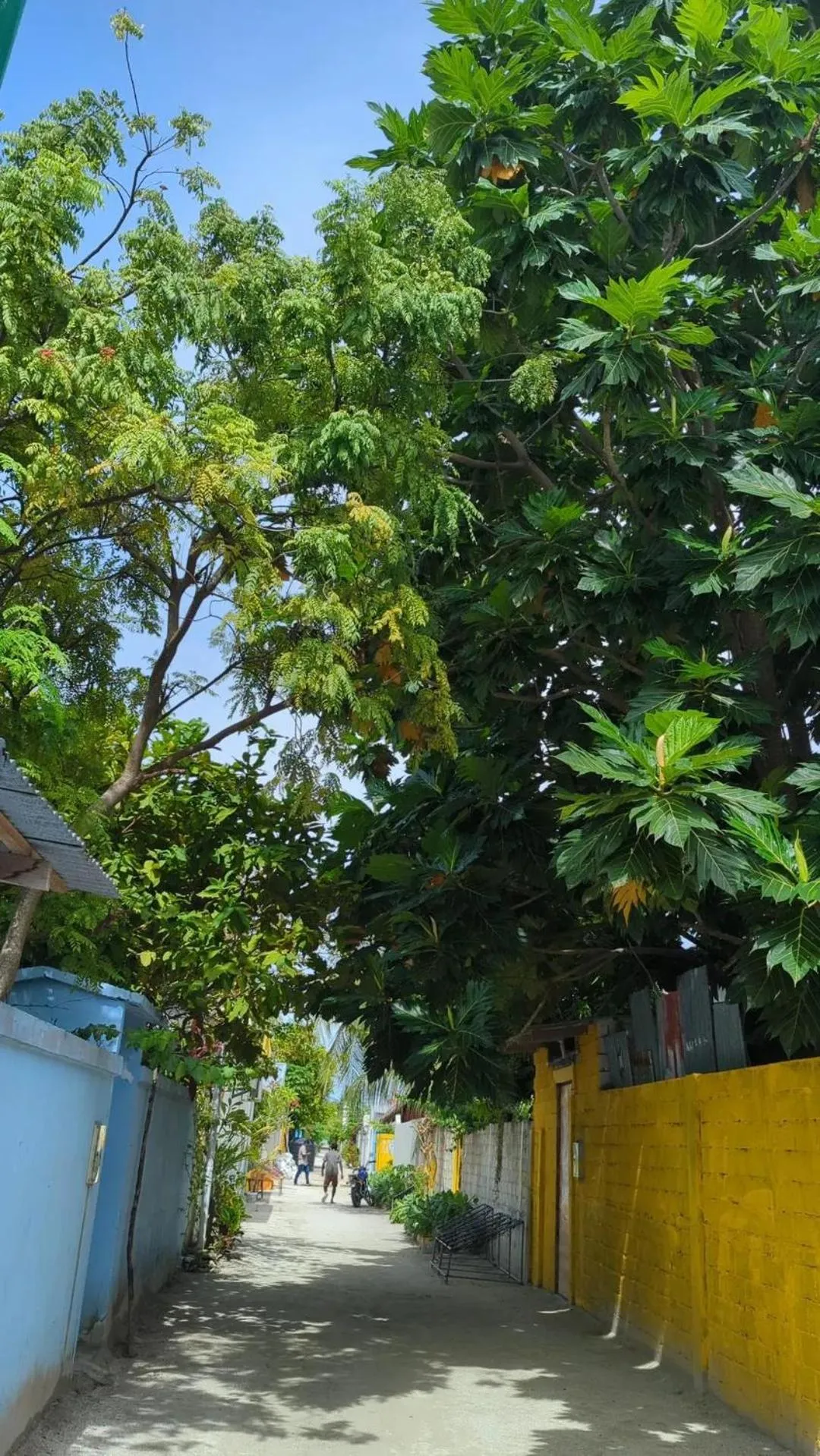 IRIS Beach Residence