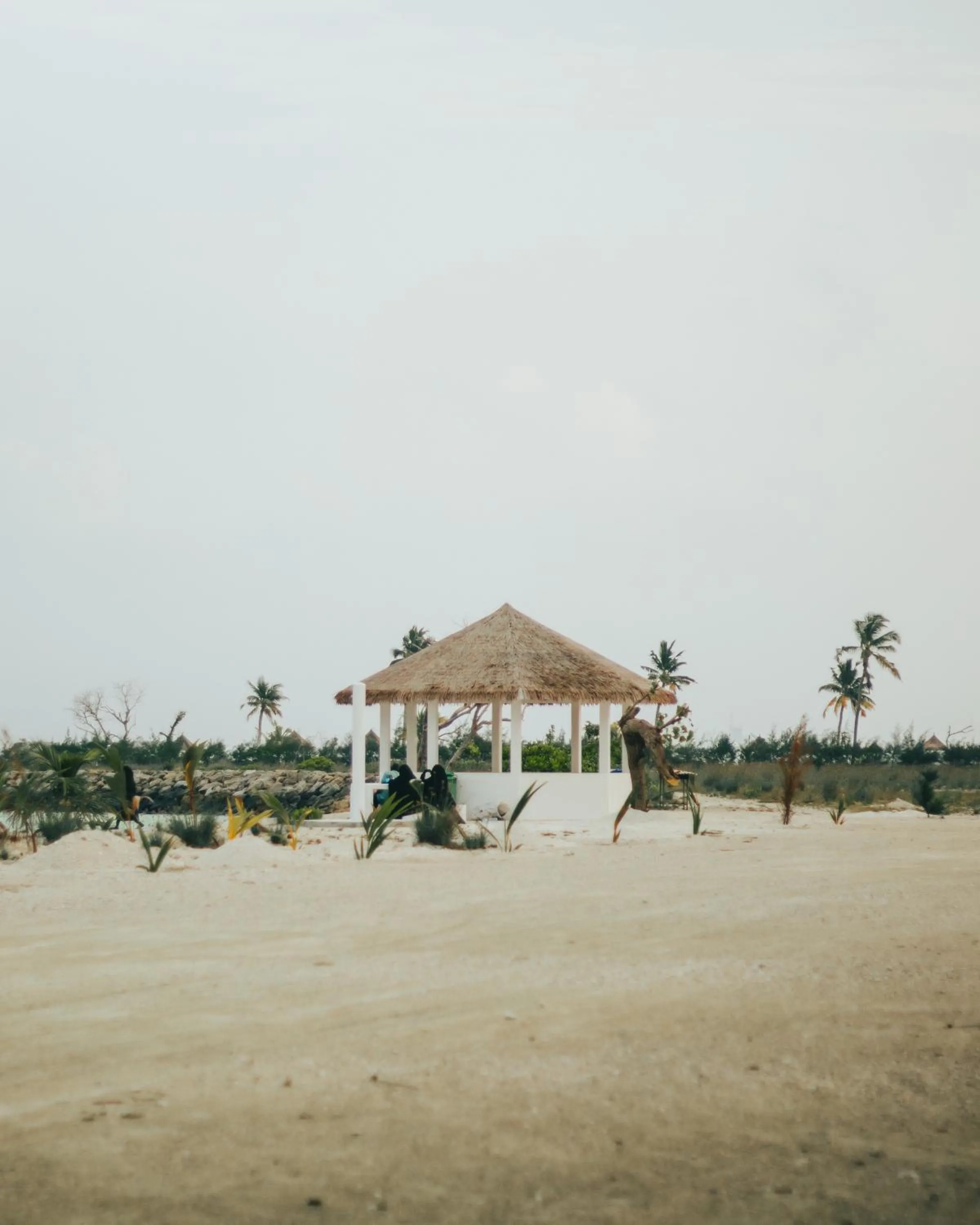 Natural landscape in IRIS Beach Residence