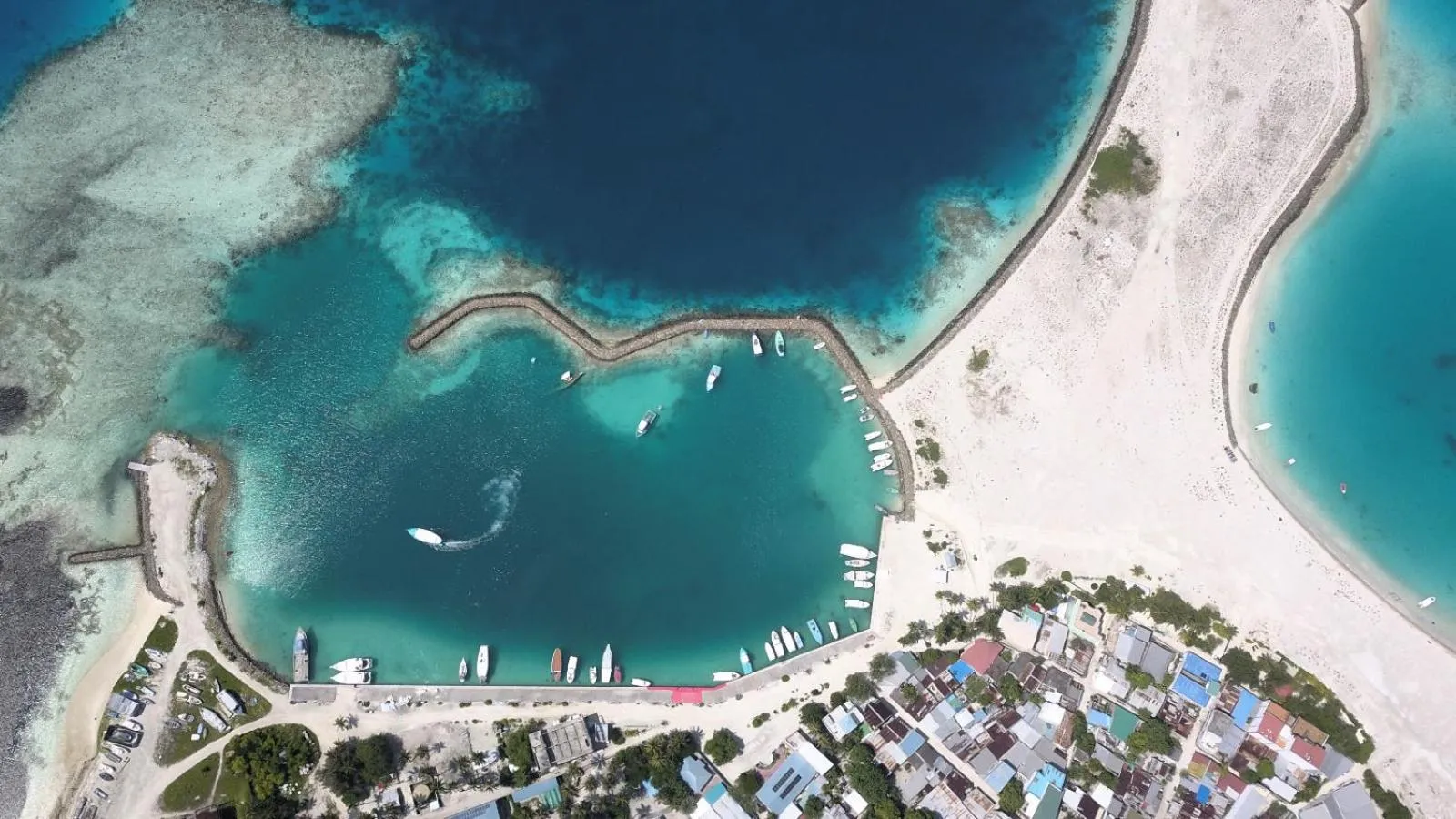 Natural landscape in IRIS Beach Residence