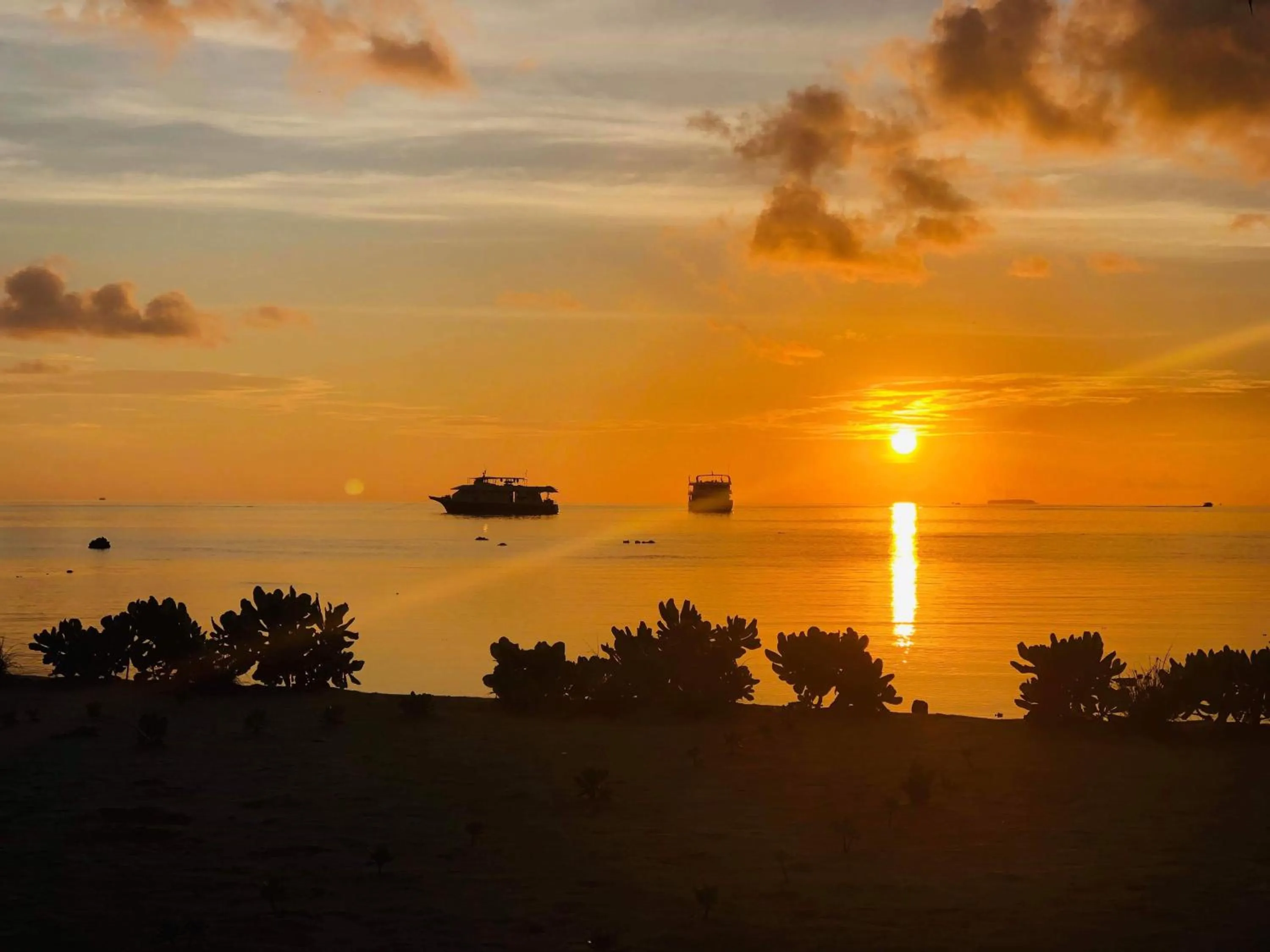 Natural landscape in IRIS Beach Residence
