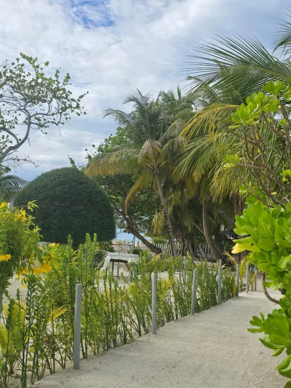 Property building in IRIS Beach Residence