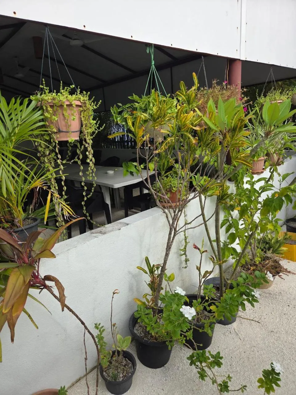 Property building in IRIS Beach Residence