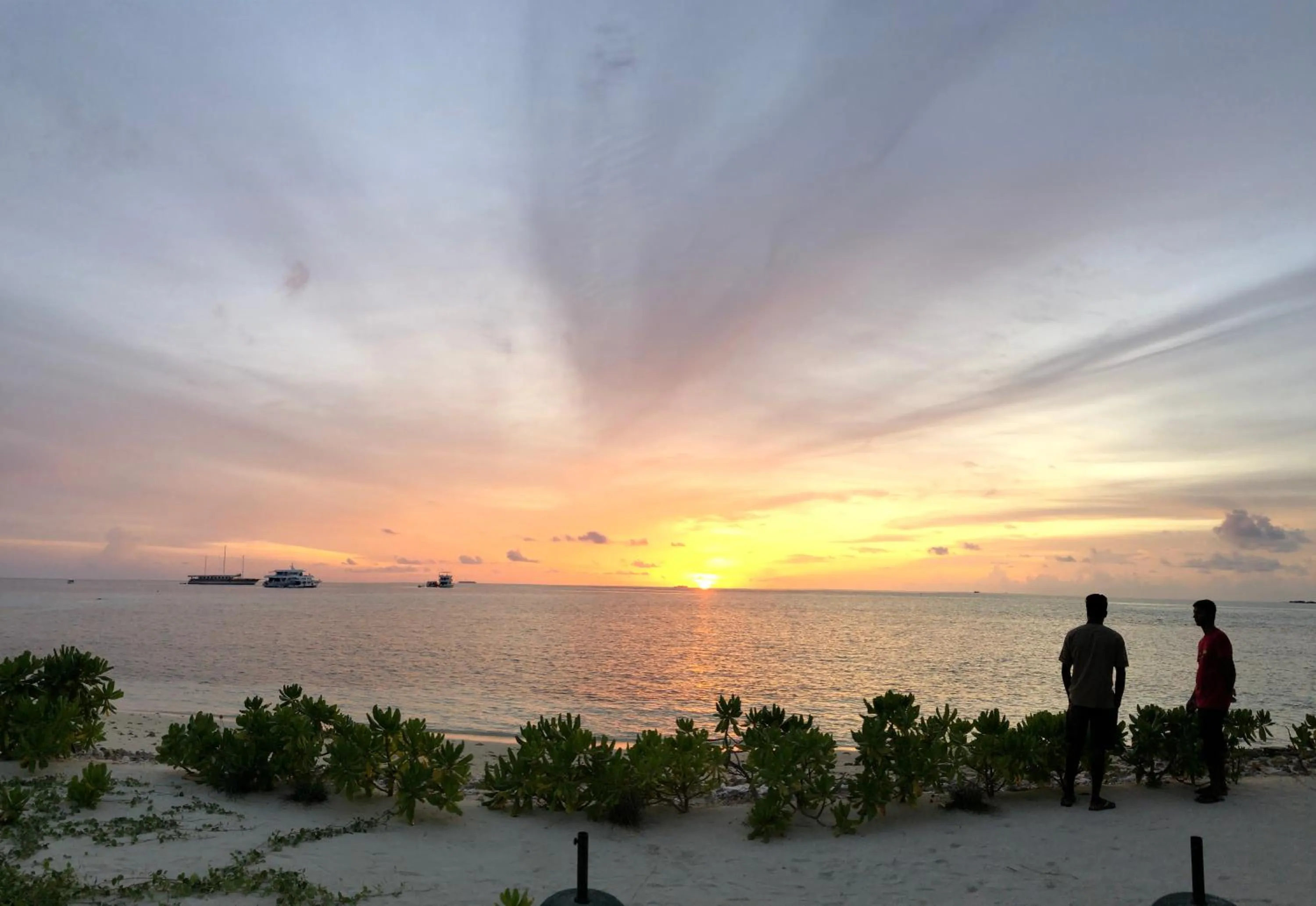 Natural landscape in IRIS Beach Residence