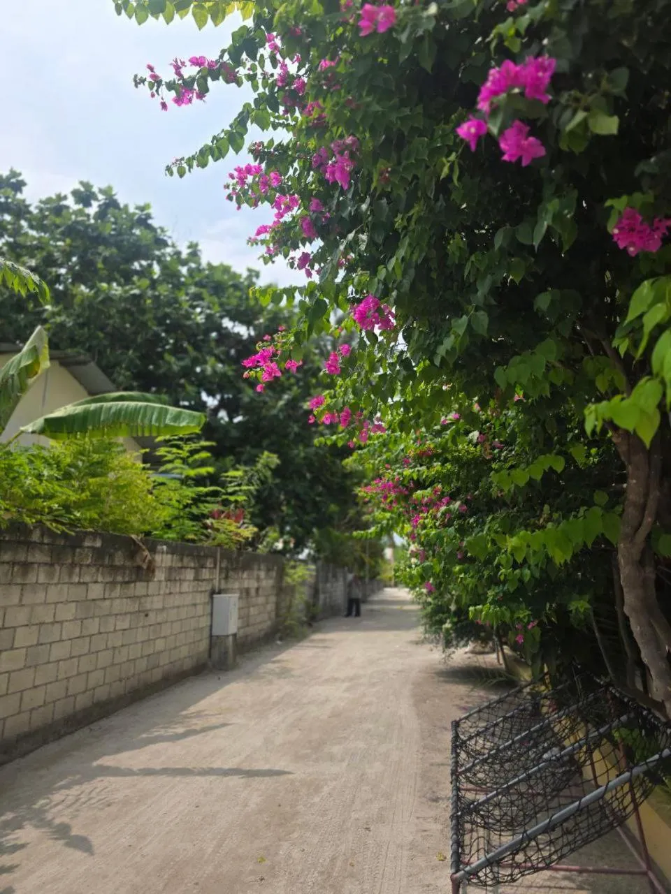 IRIS Beach Residence