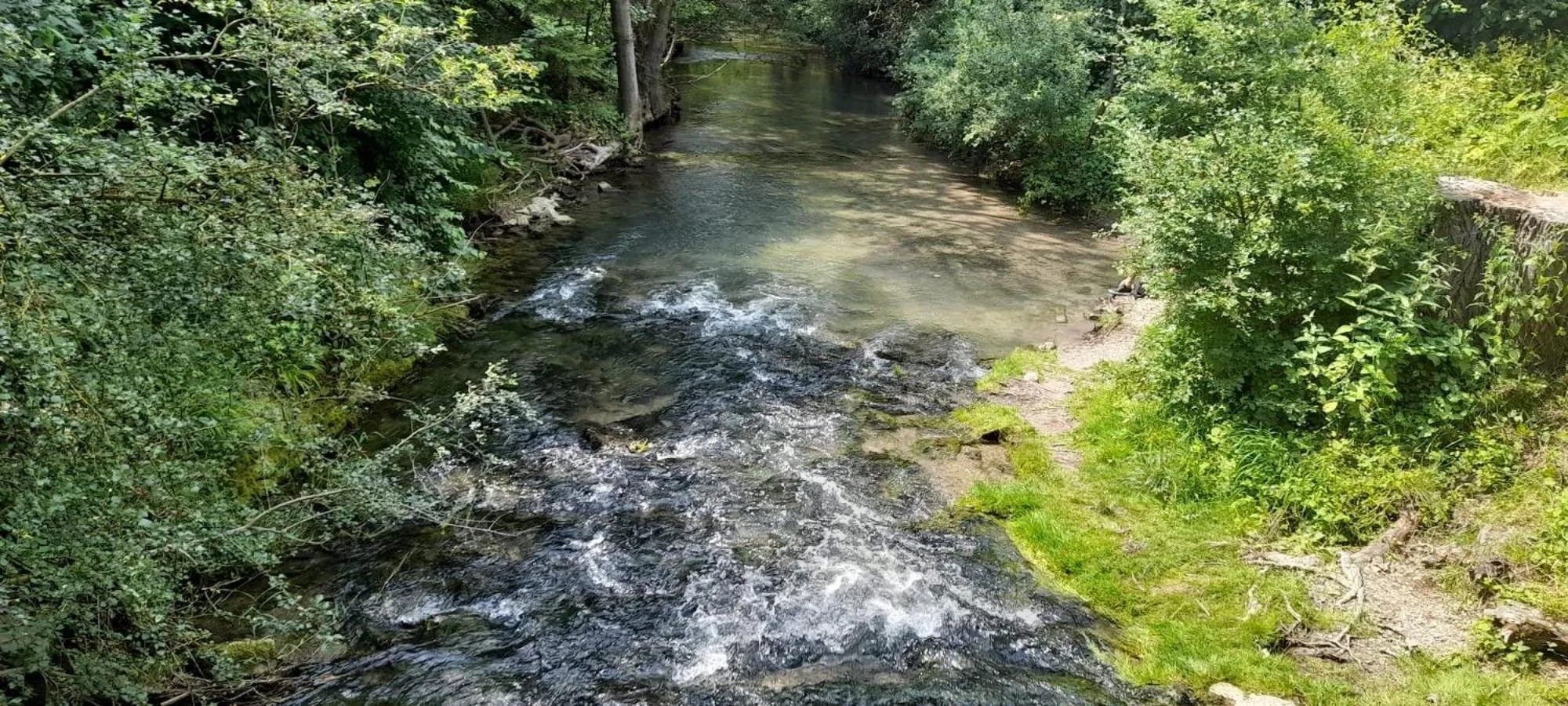 Natural landscape in Thermalhotel Kemper