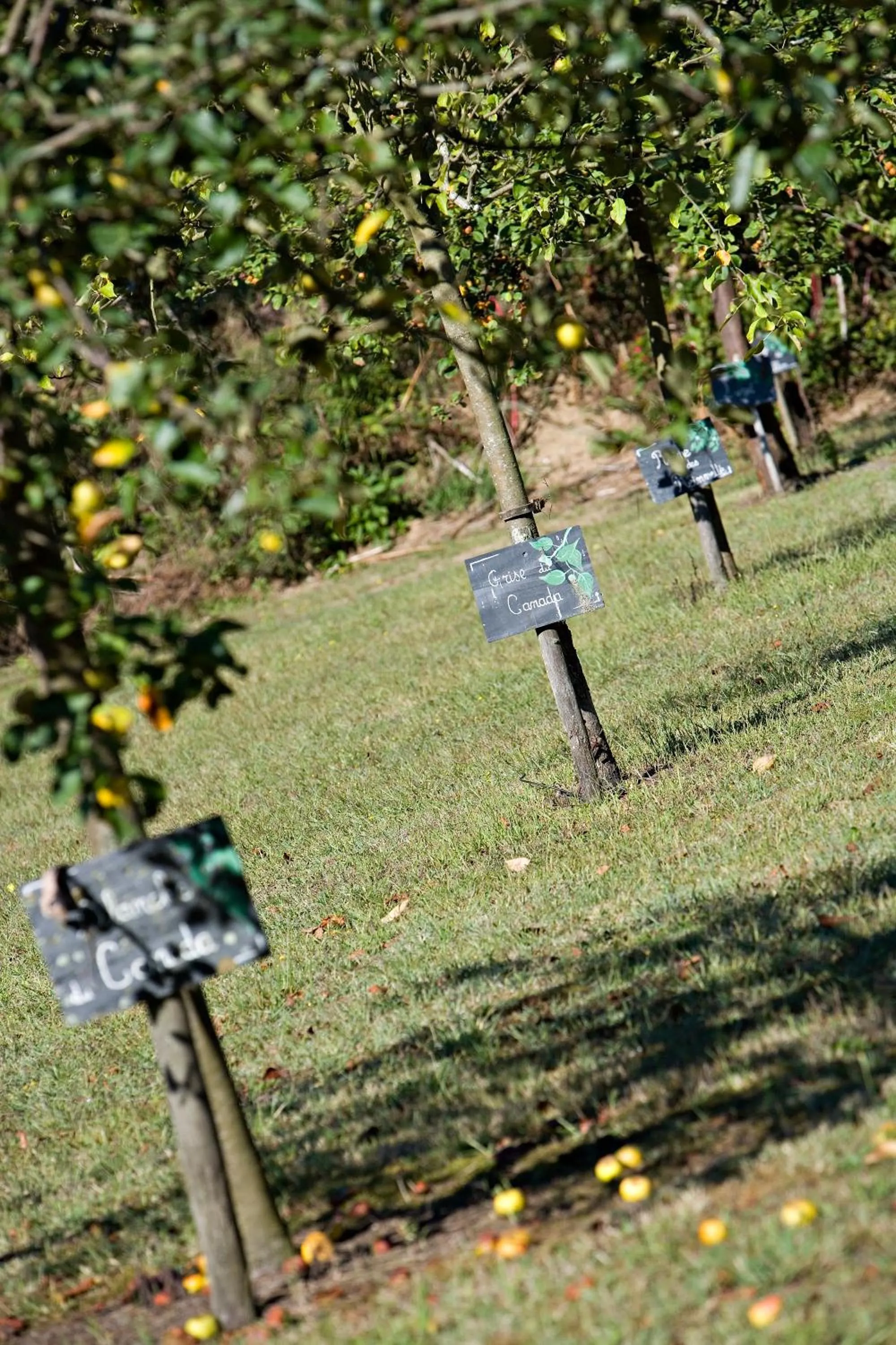 Garden in Relais de la Poste