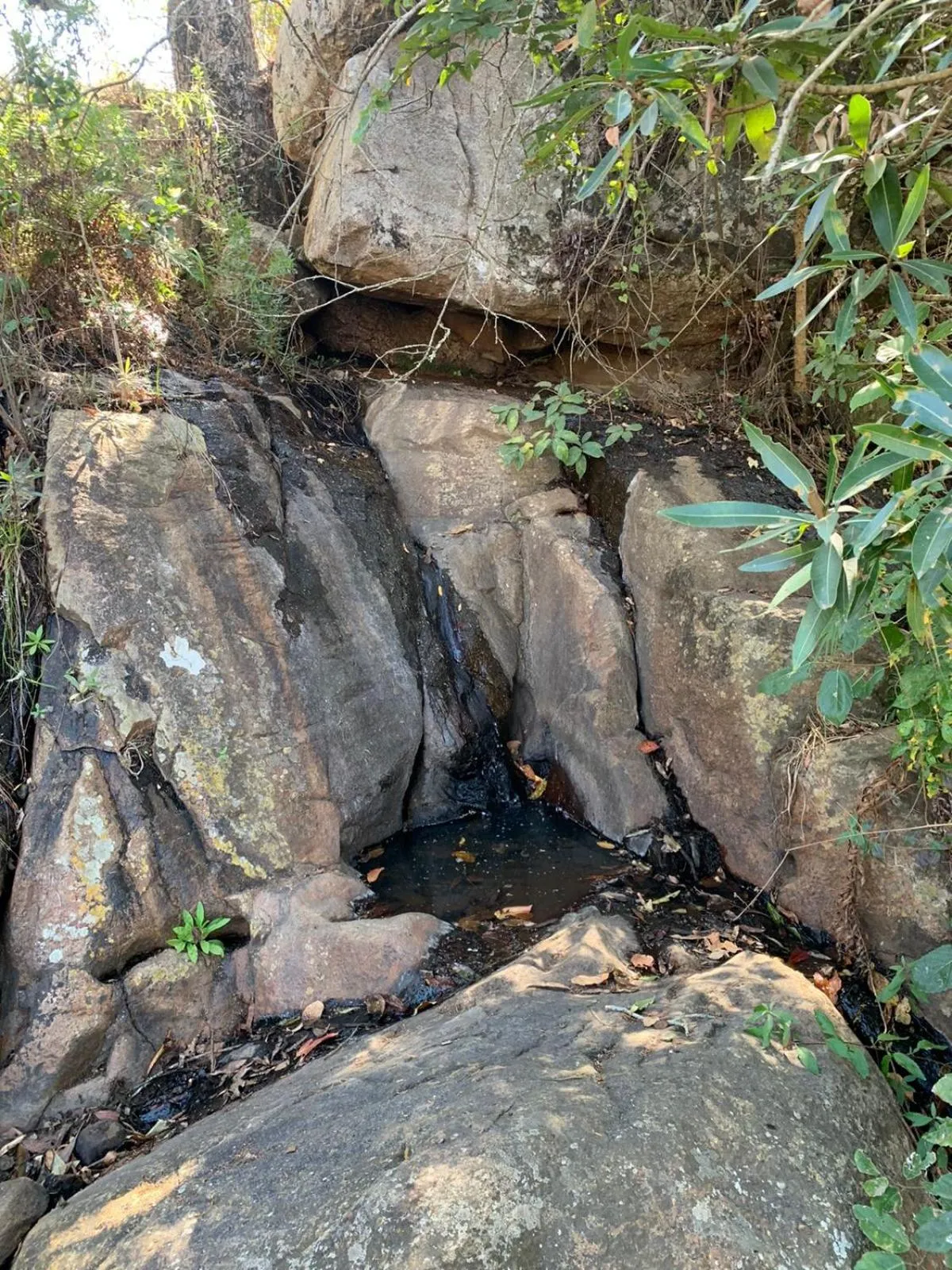 Hiking in Ndhula Luxury Tented Lodge