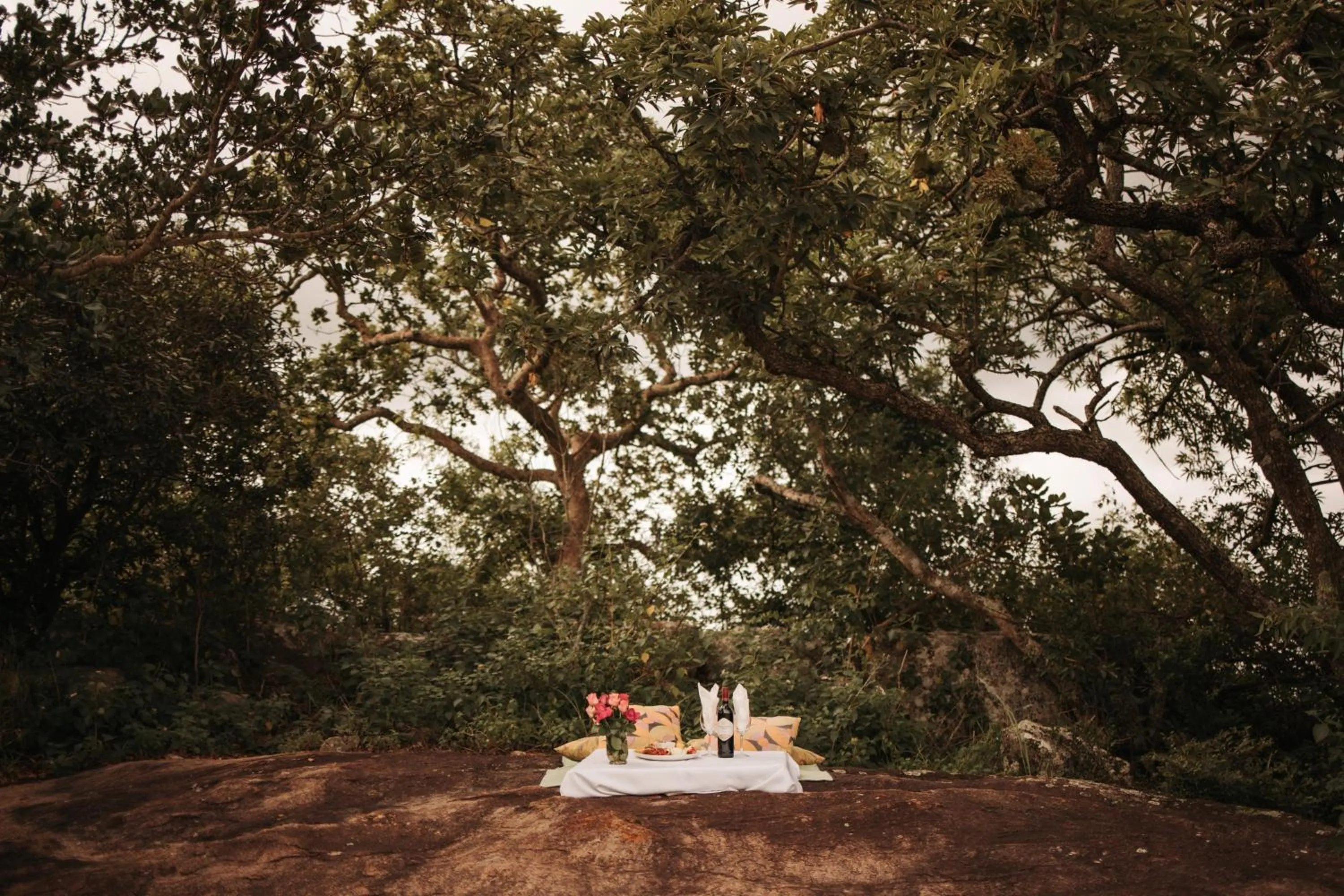 Natural landscape in Ndhula Luxury Tented Lodge