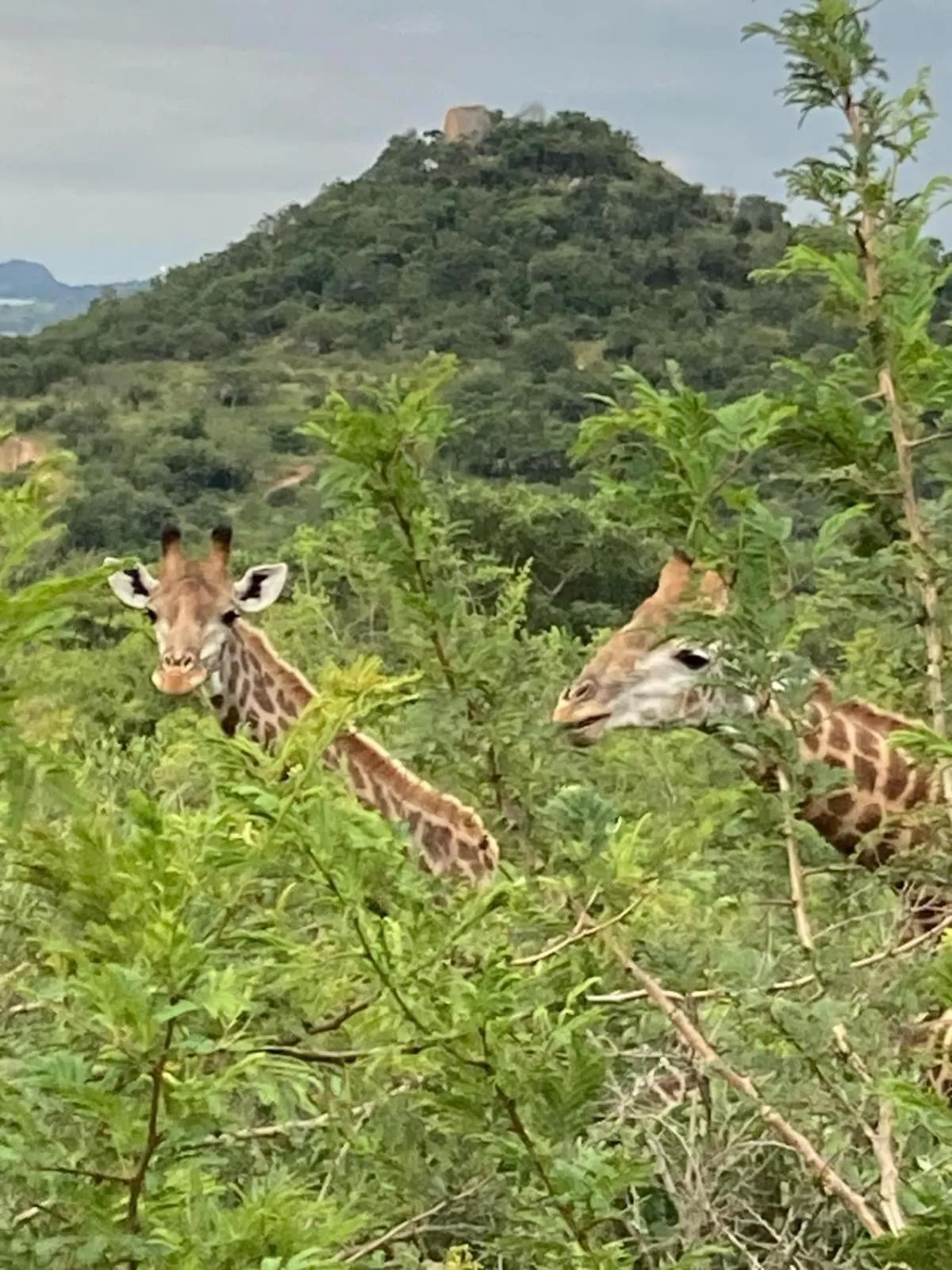 Natural landscape in Ndhula Luxury Tented Lodge