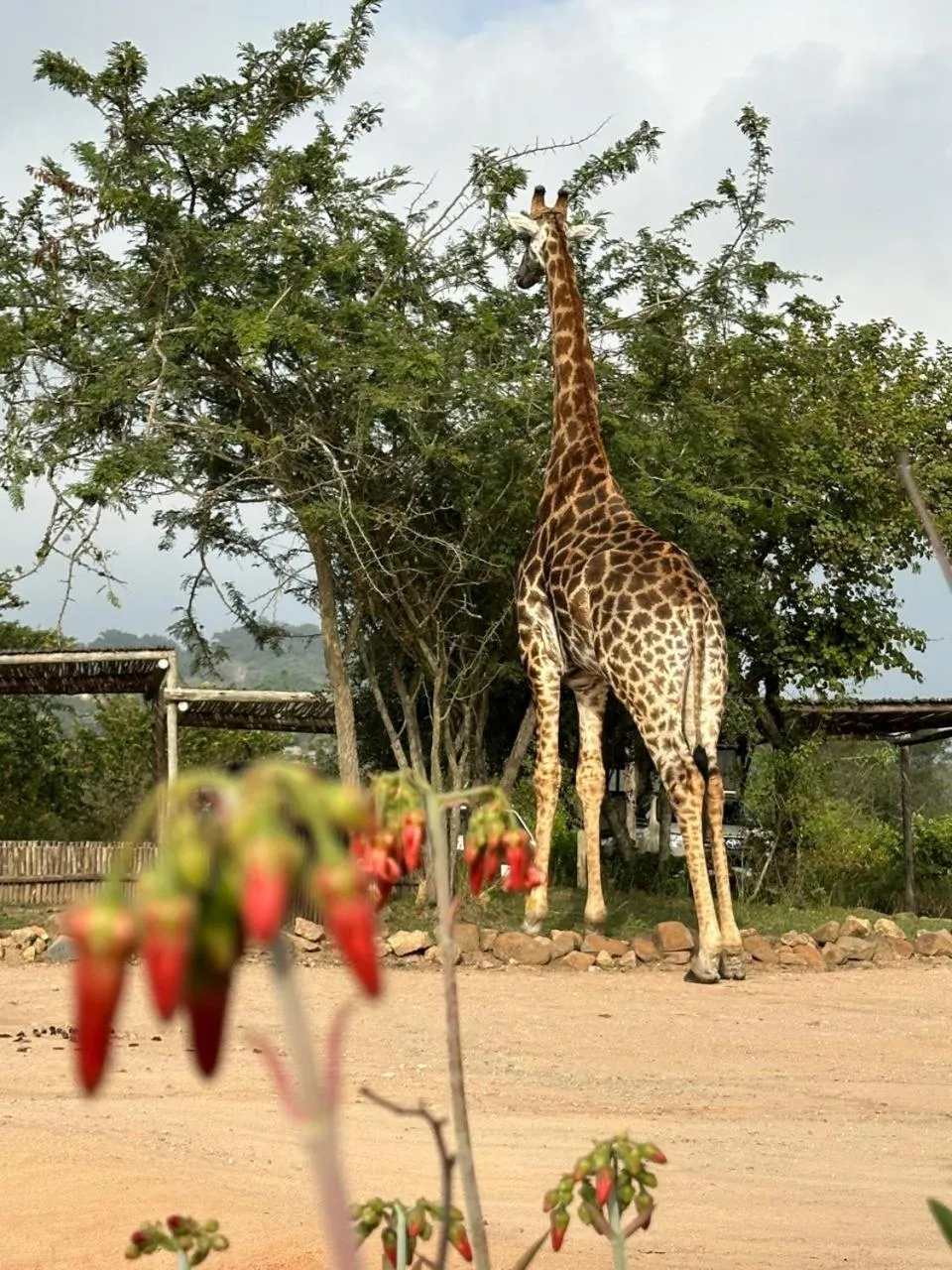 Natural landscape in Ndhula Luxury Tented Lodge