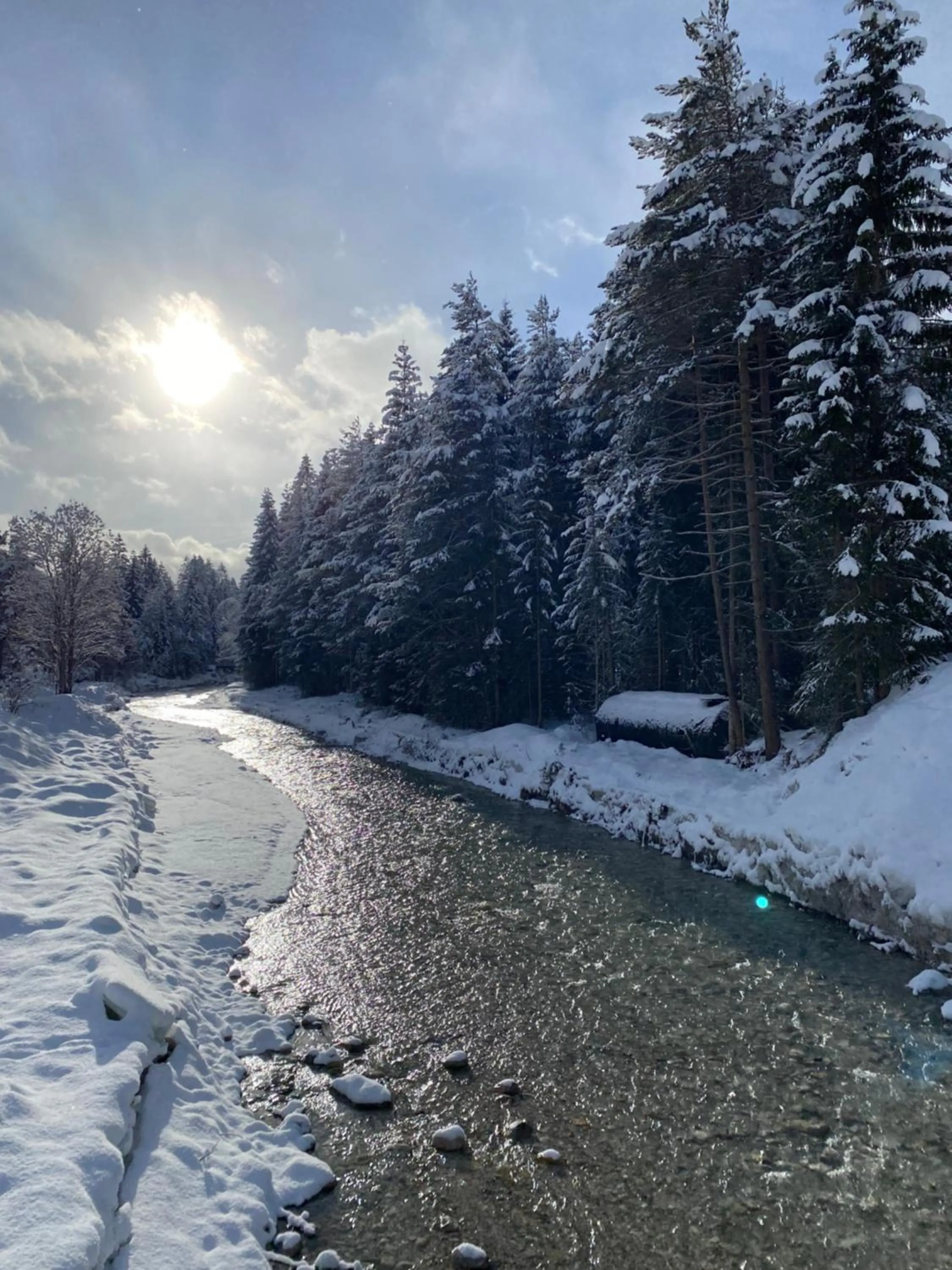 Natural landscape in Design Apartments & Zimmer - Zugspitze