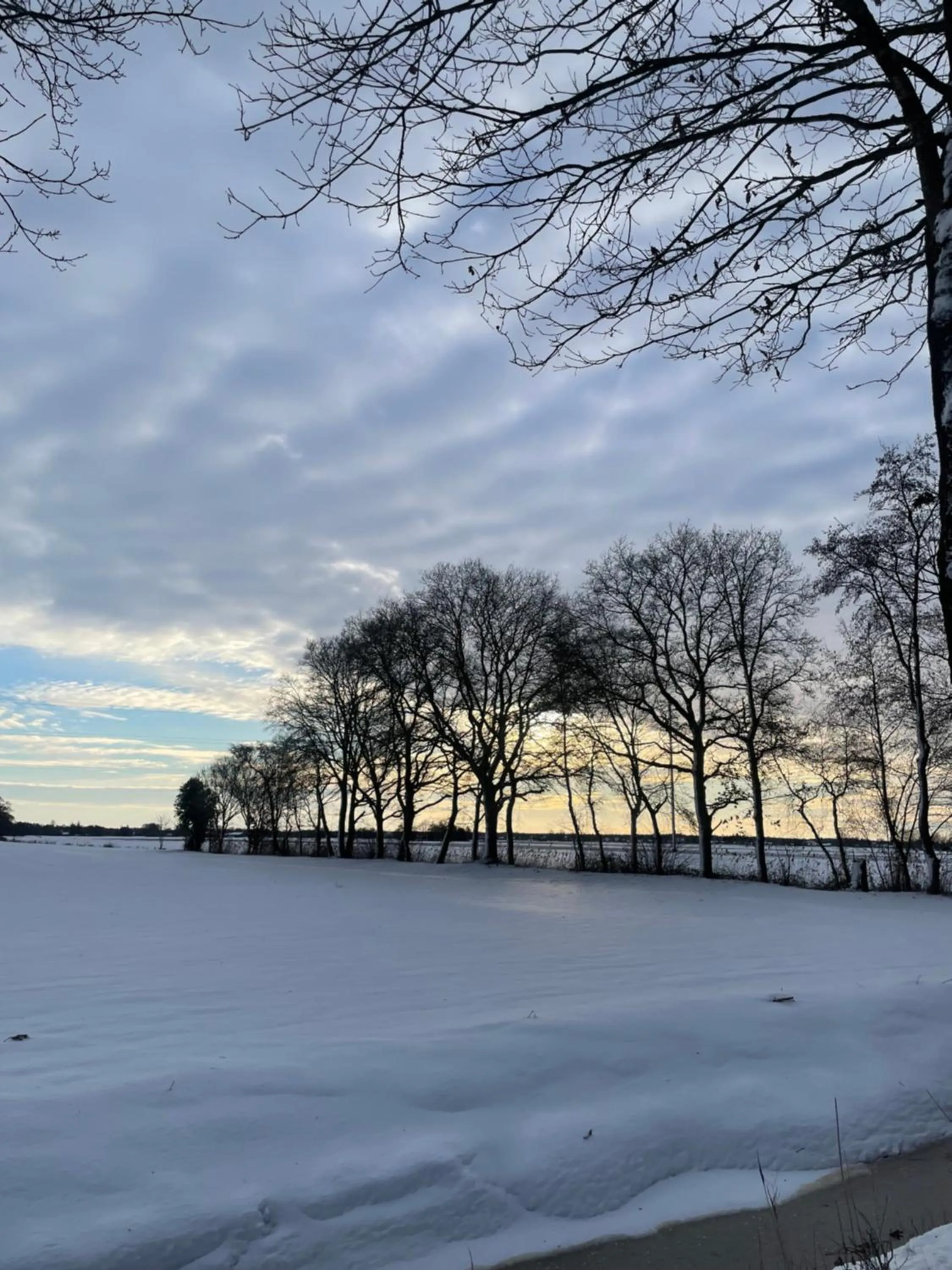 Natural landscape in De Fugelsang