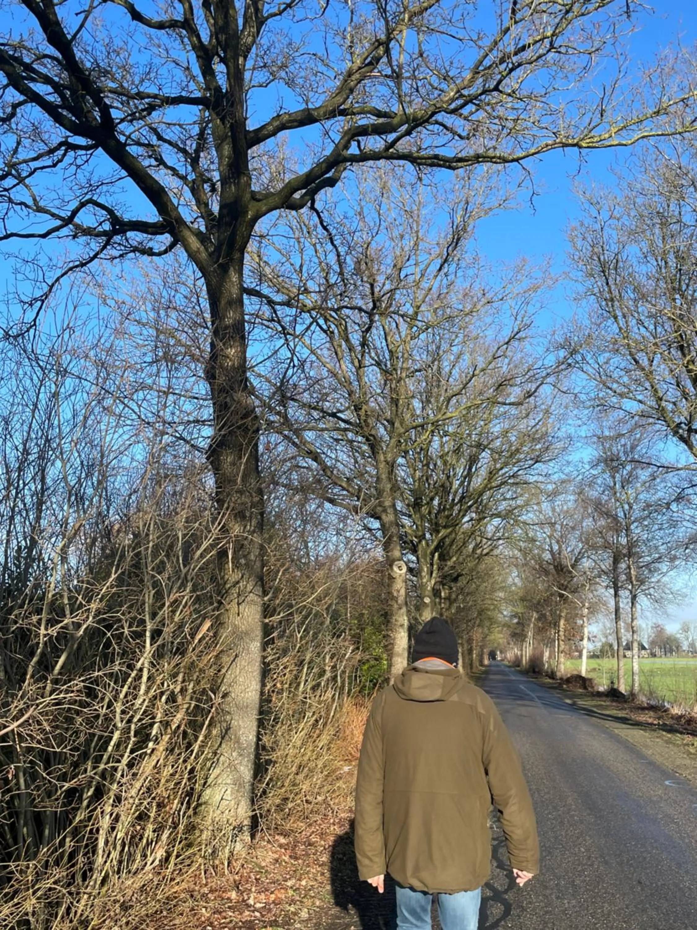 Neighbourhood in De Fugelsang