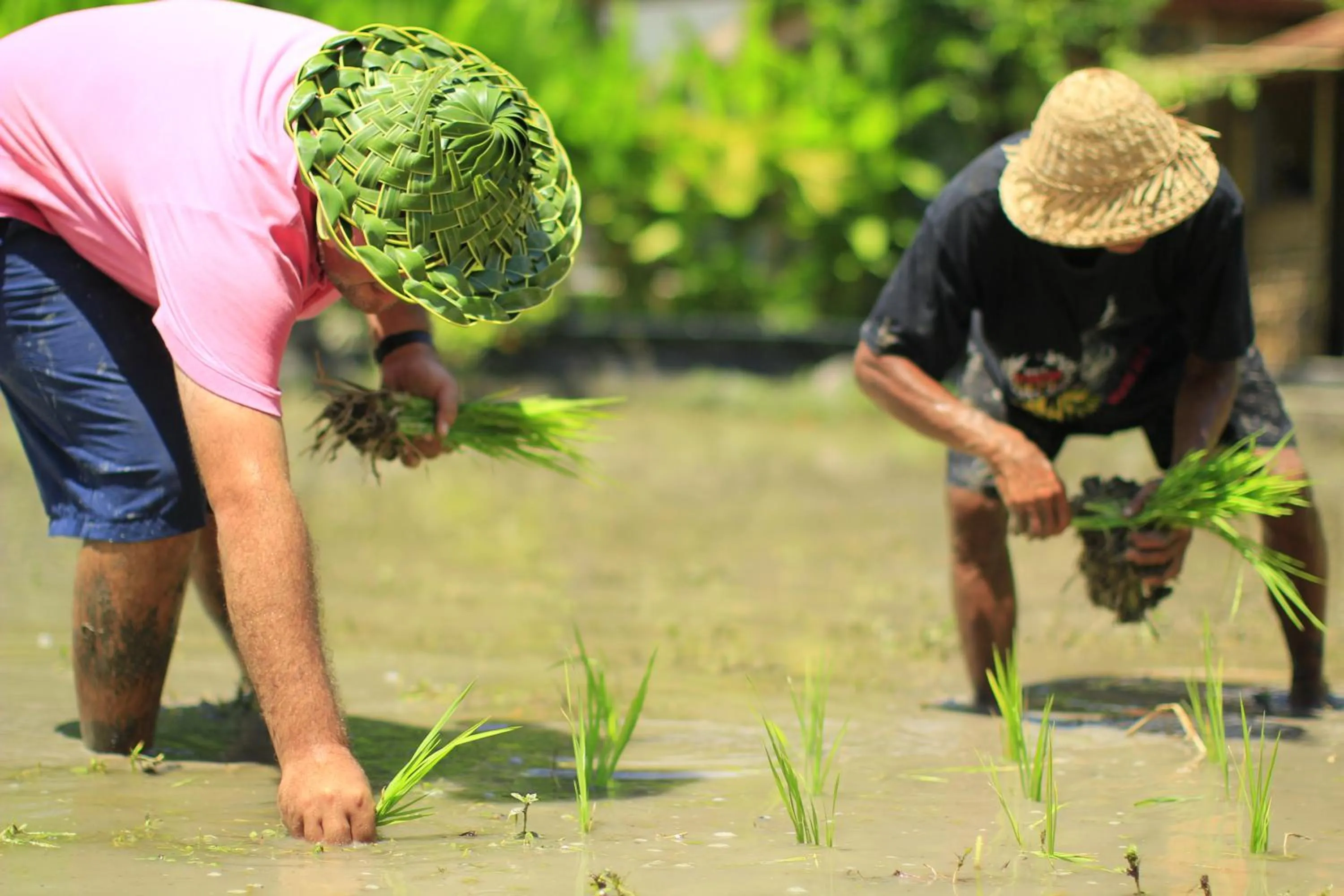 Activities in Keramas Sacred River Retreat Resort and Villa