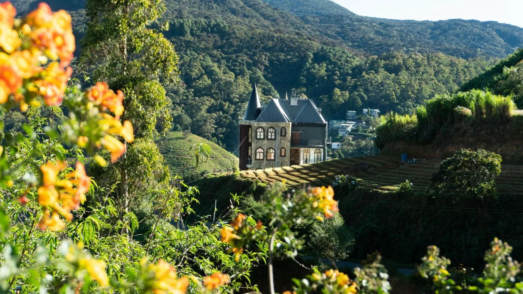 Property building in The Wind Castle