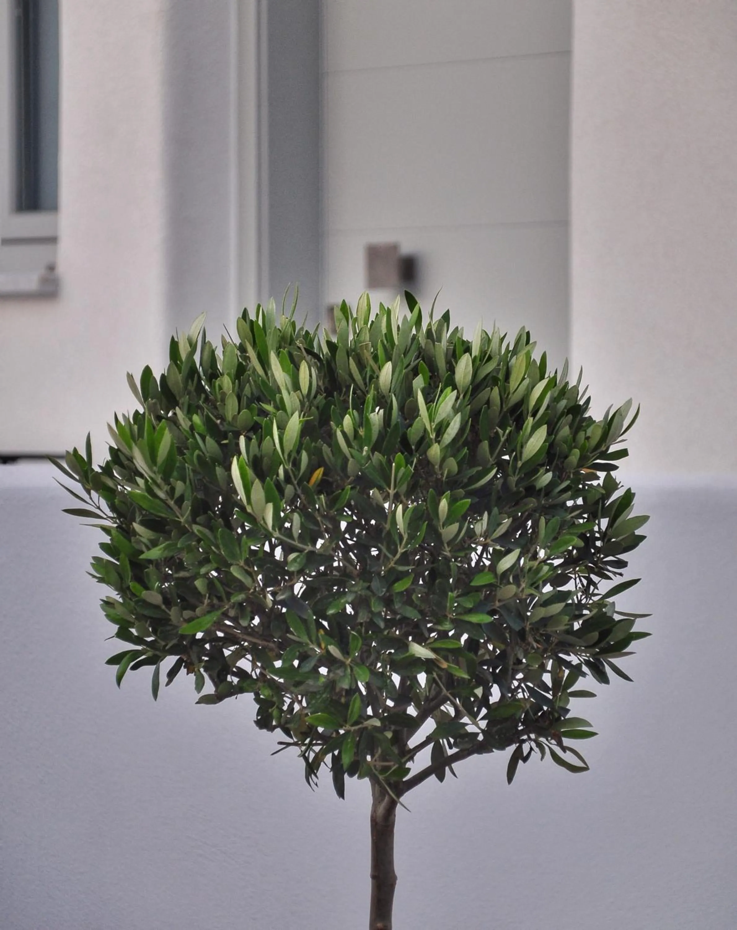 Quartano Luxury Cycladic Residence, Adults Only (13+)