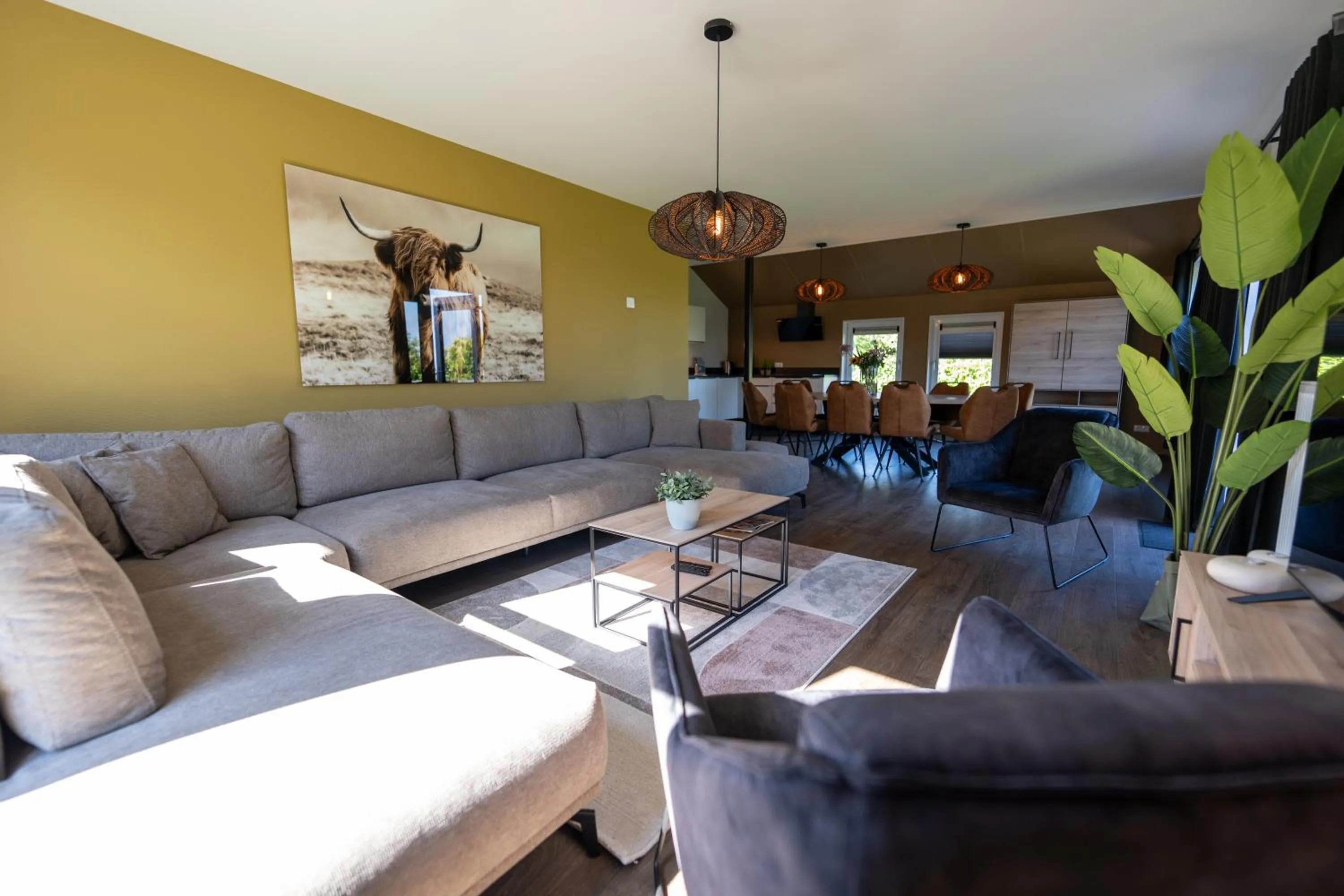 TV and multimedia in Waterdorp Burdaard