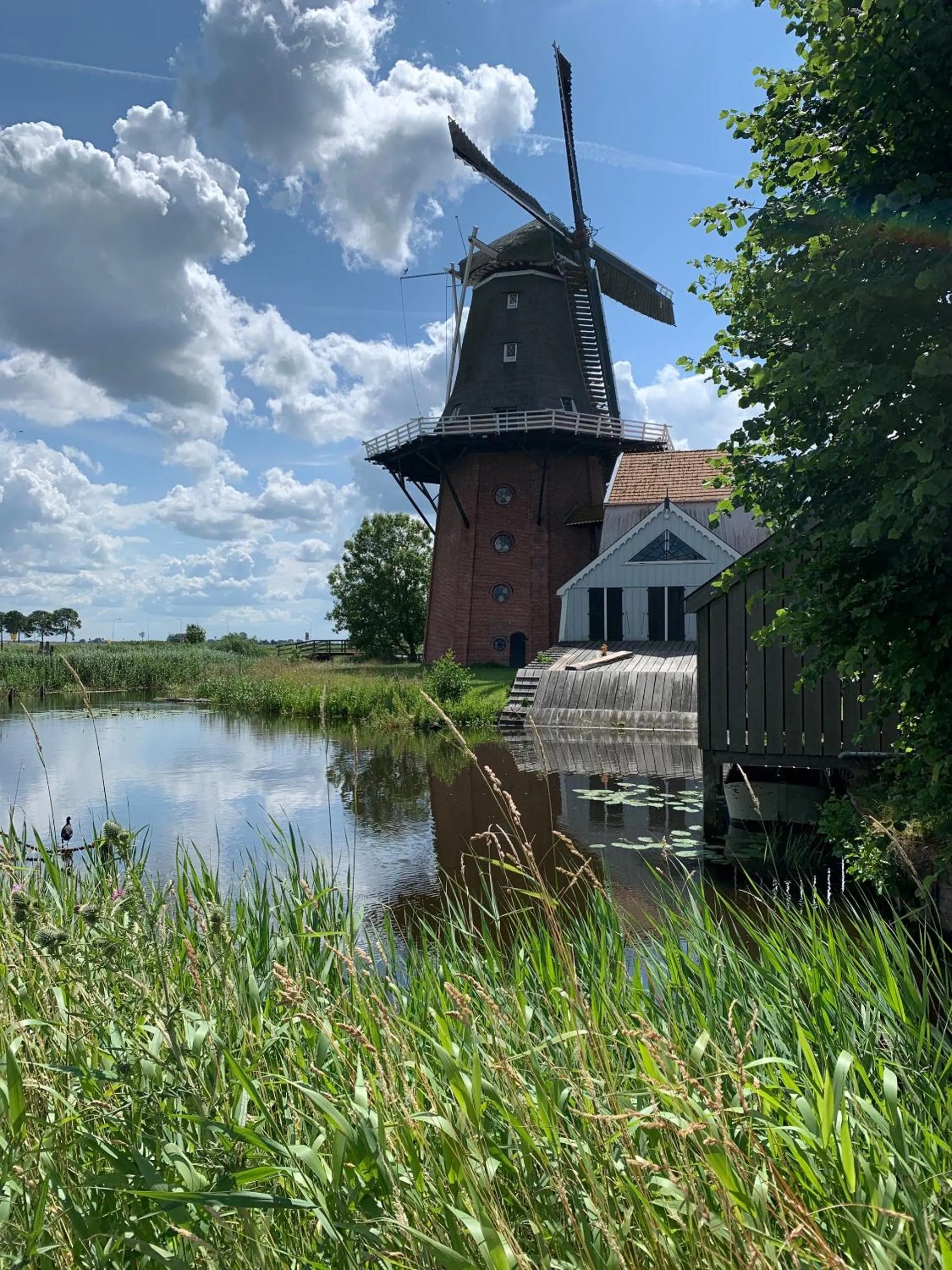 Natural landscape in Waterdorp Burdaard