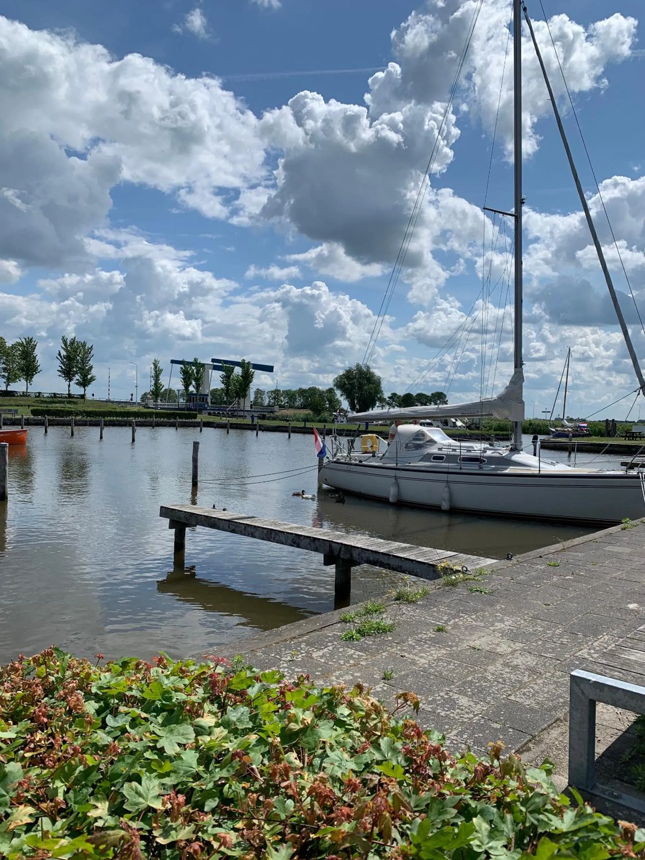 Lake view in Waterdorp Burdaard