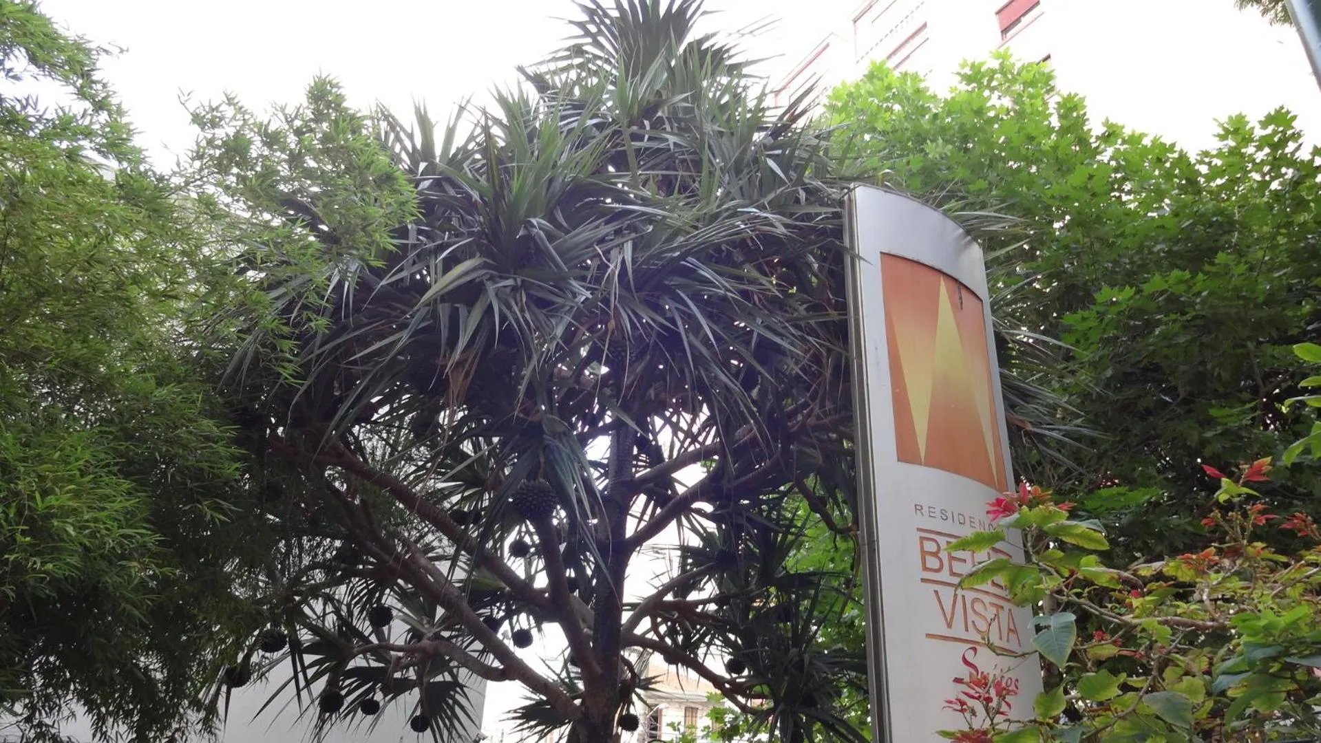 Property logo or sign in Residencial Bella Vista Suites