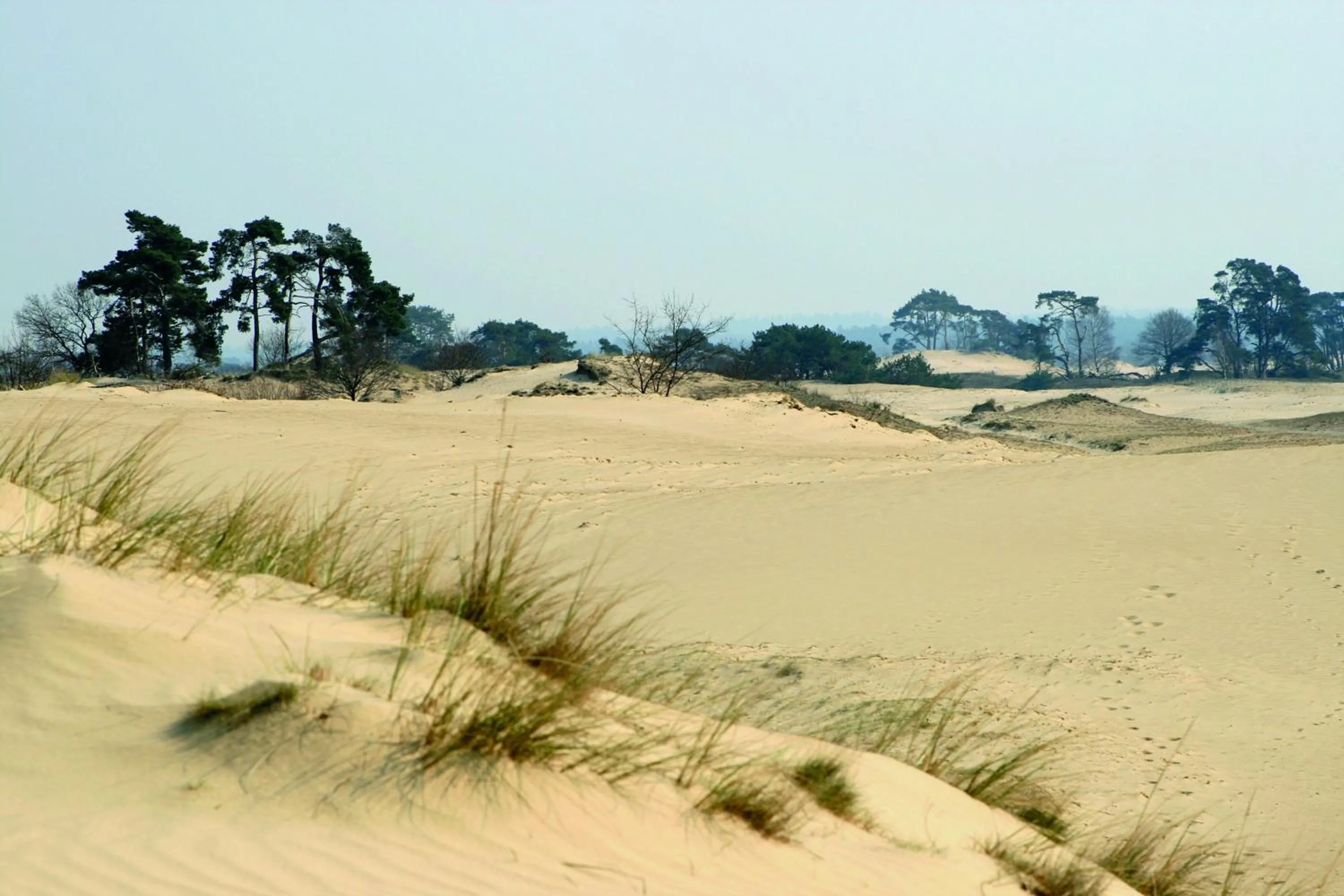 Area and facilities in Fletcher Hotel-Restaurant Het Witte Huis