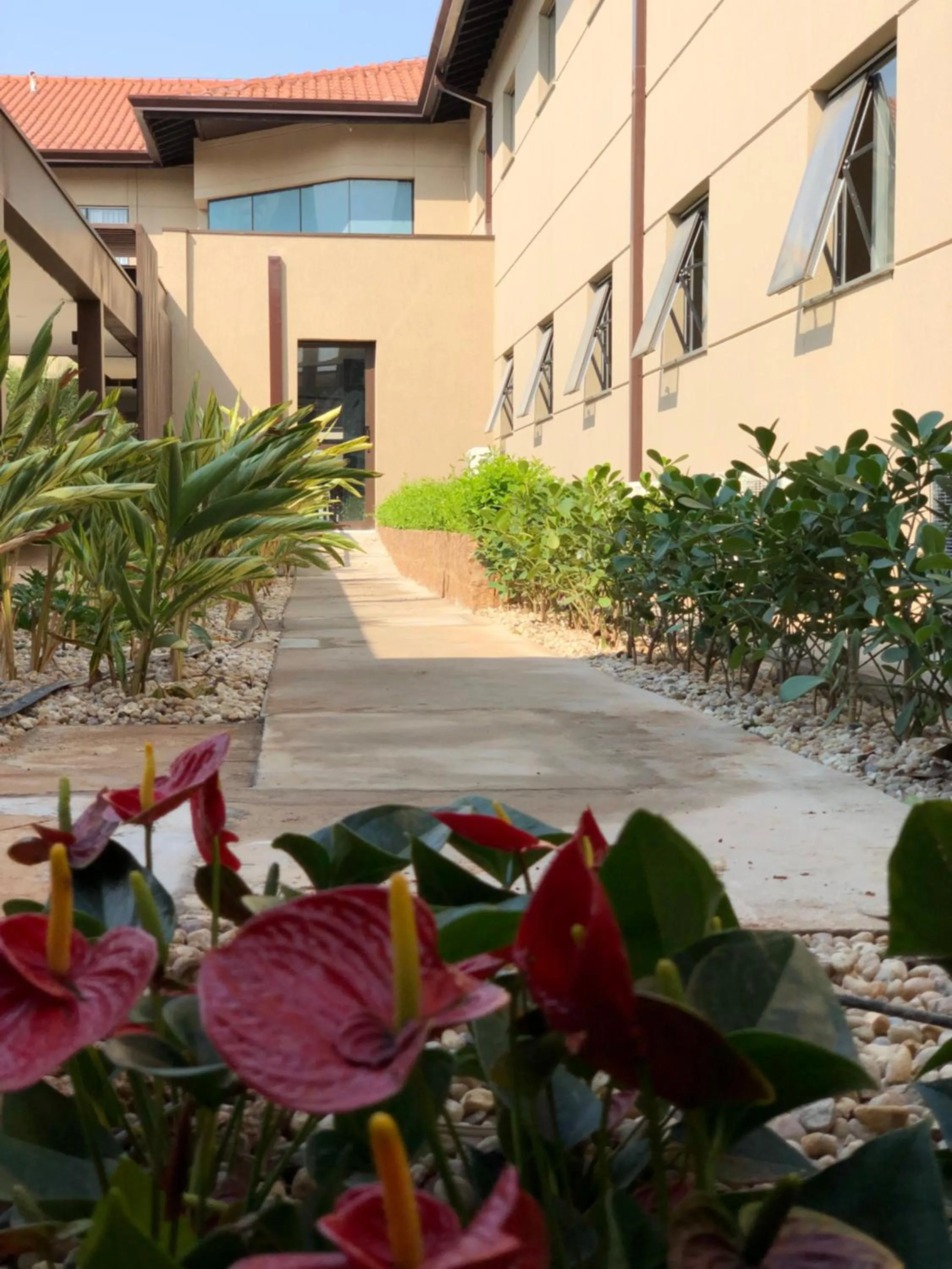 Garden in Fildi Hotel