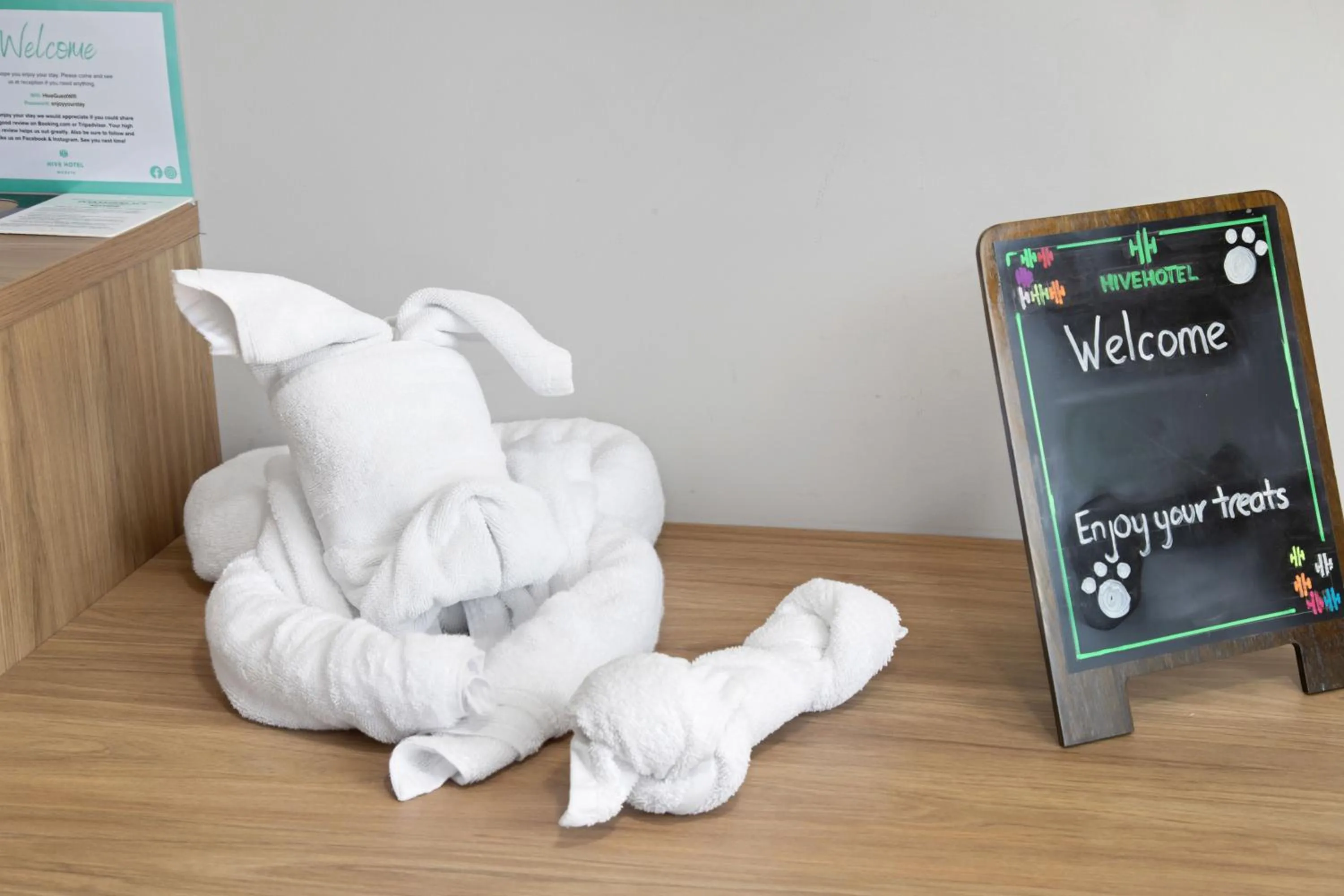 pet friendly in Hive Hotel, Moruya