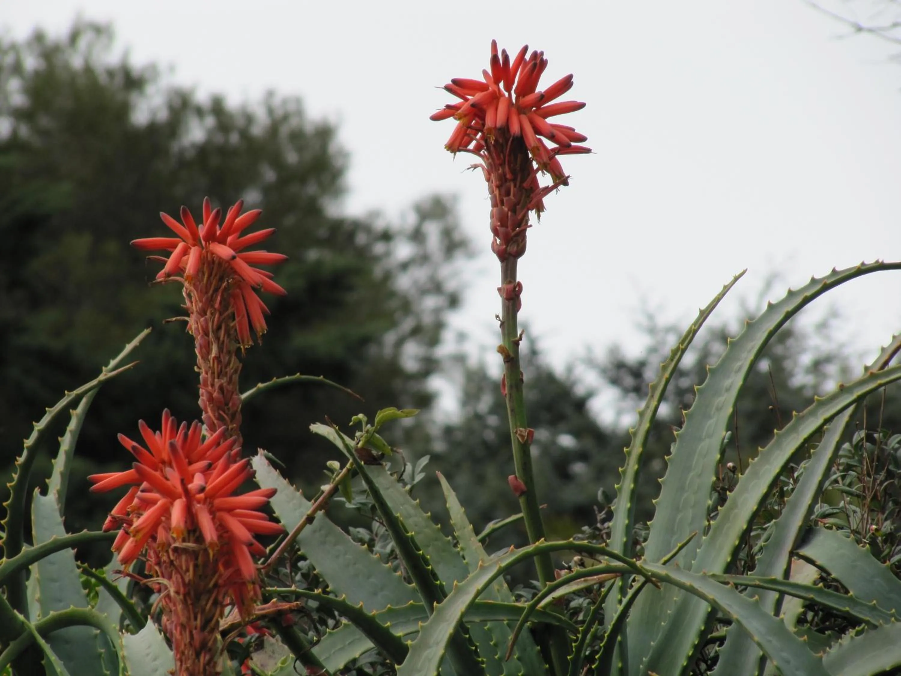 Other in Hotel & Spa Cacciatori